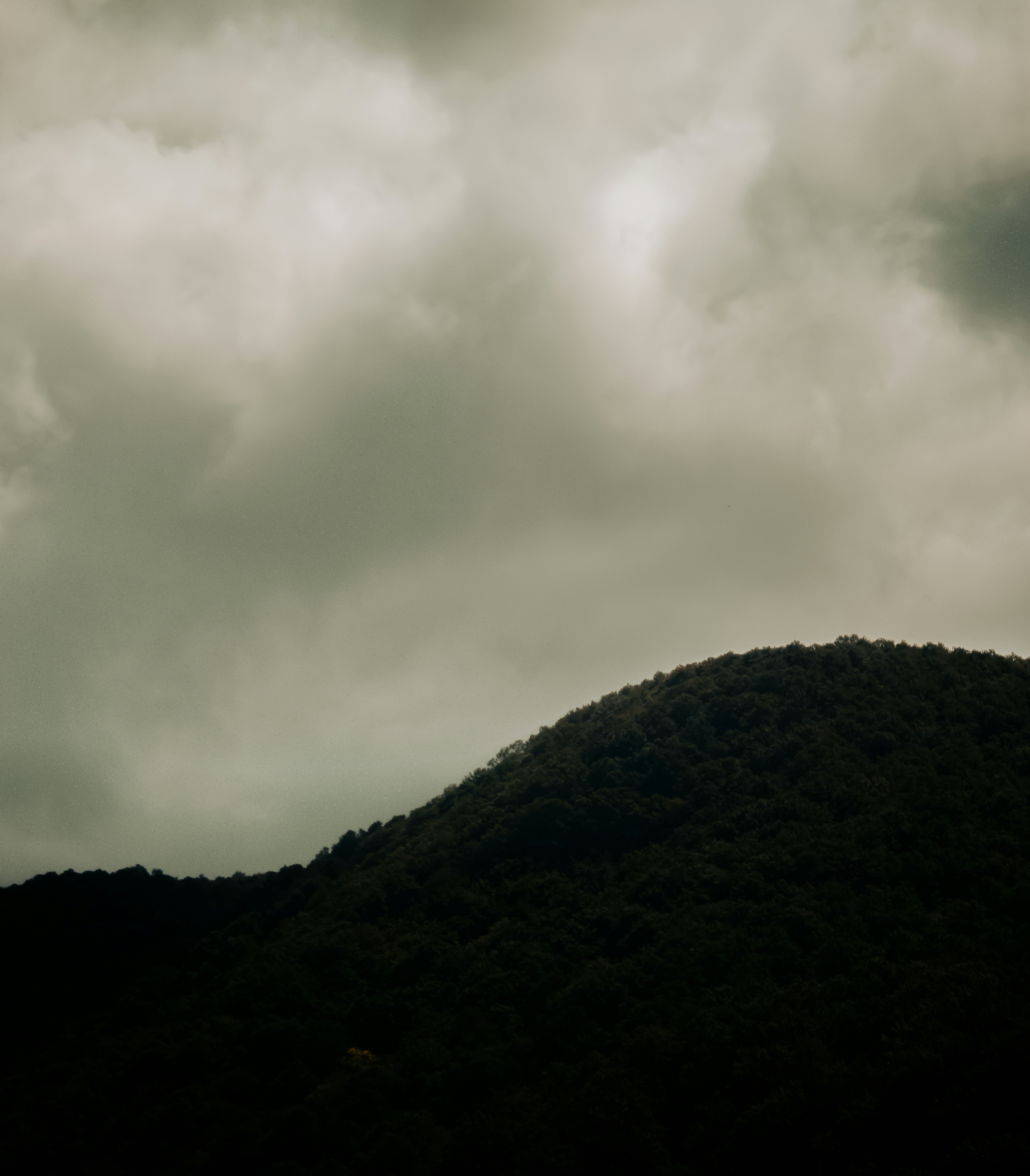 Photo by sinabahar76