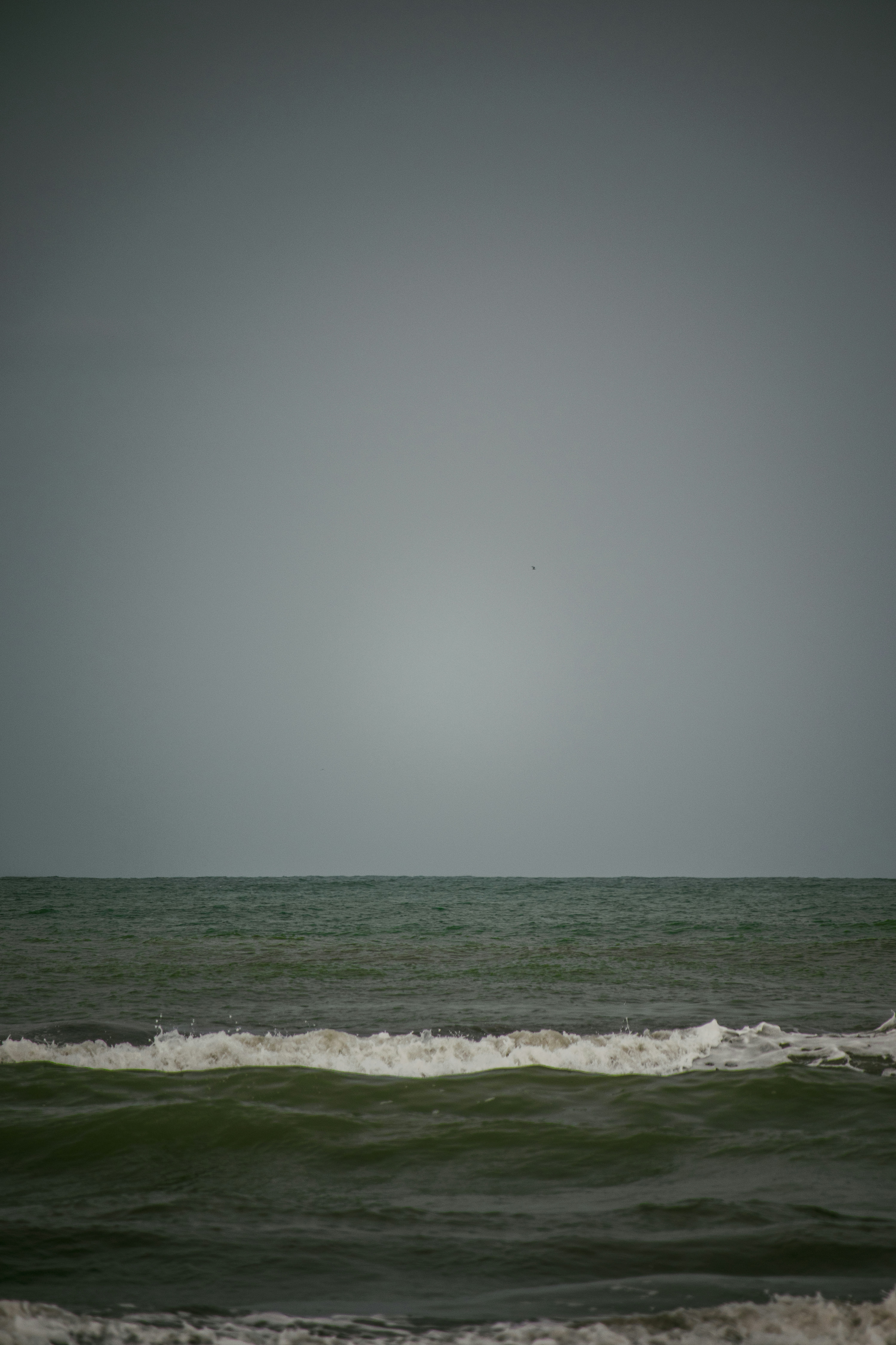 Photo by sinabahar76