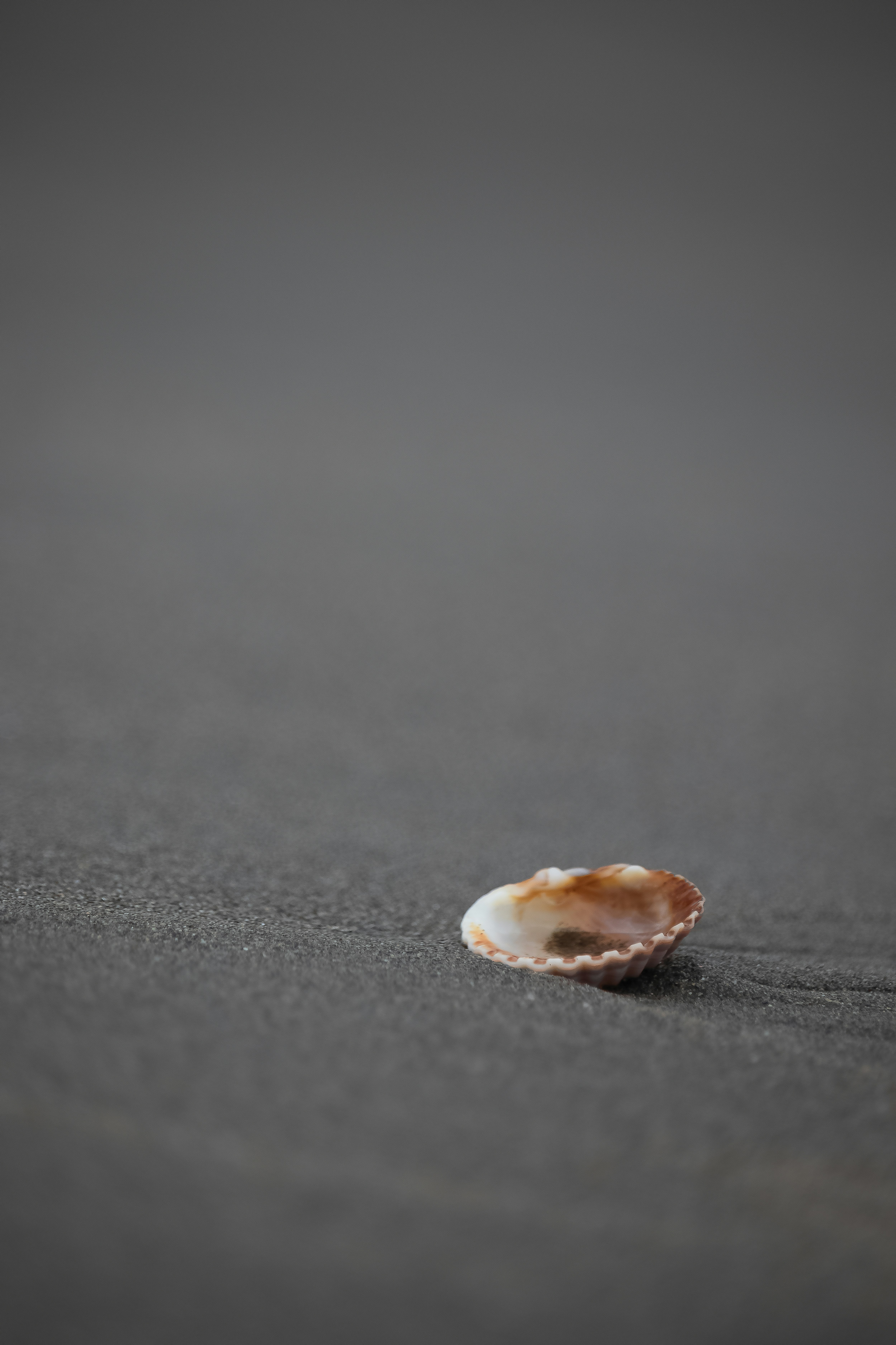 Photo by sinabahar76