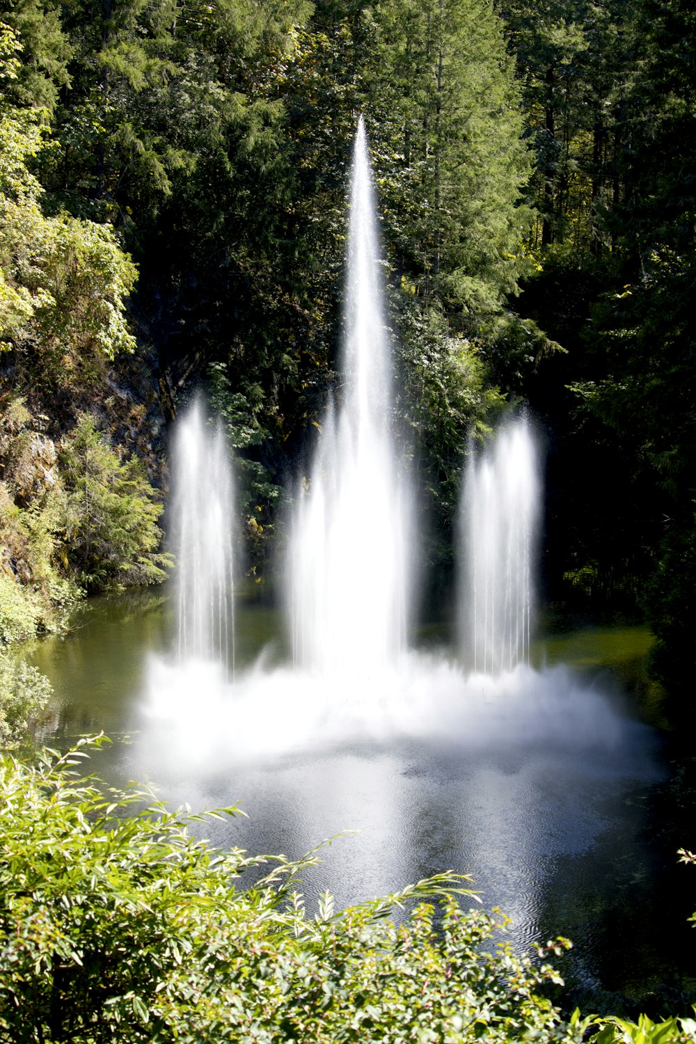 a waterfall in a forest