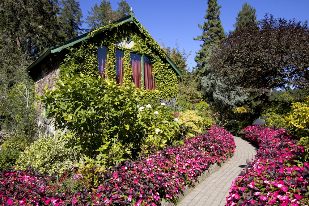 a garden with flowers and trees