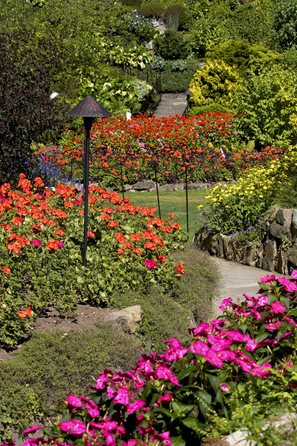 a garden with colorful flowers