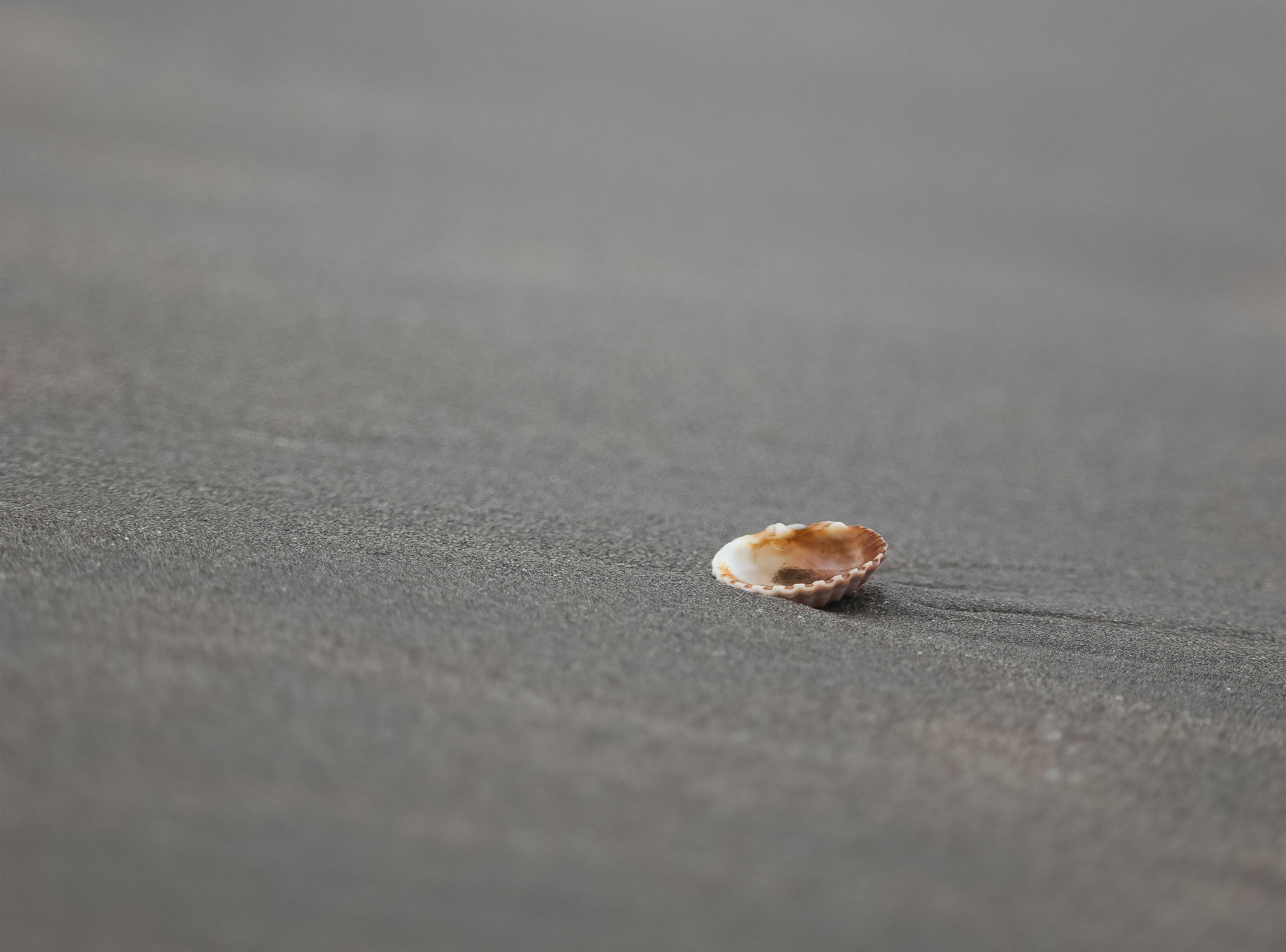 Photo by sinabahar76