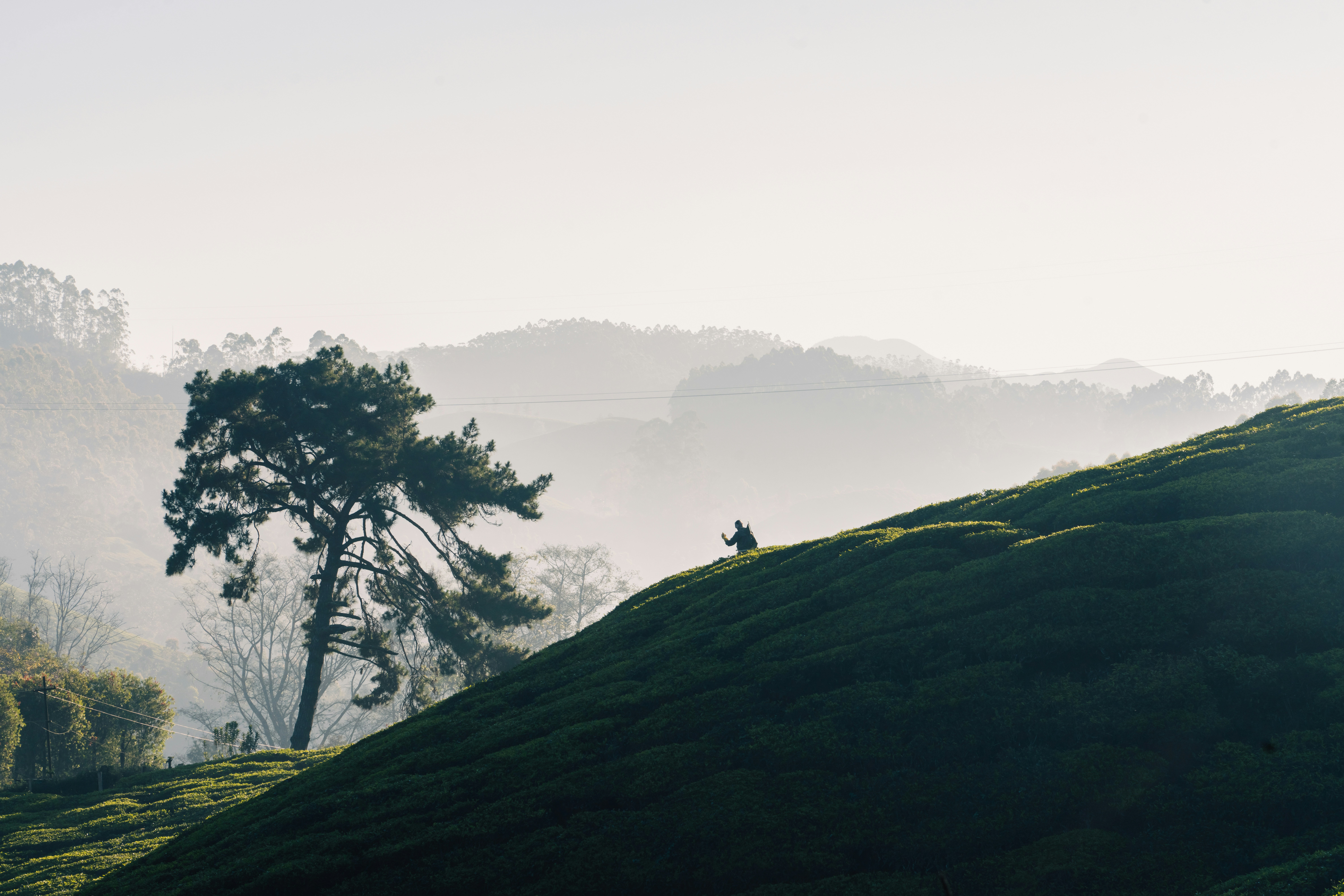 Photo by meemoome_productions