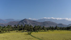 Palakkad