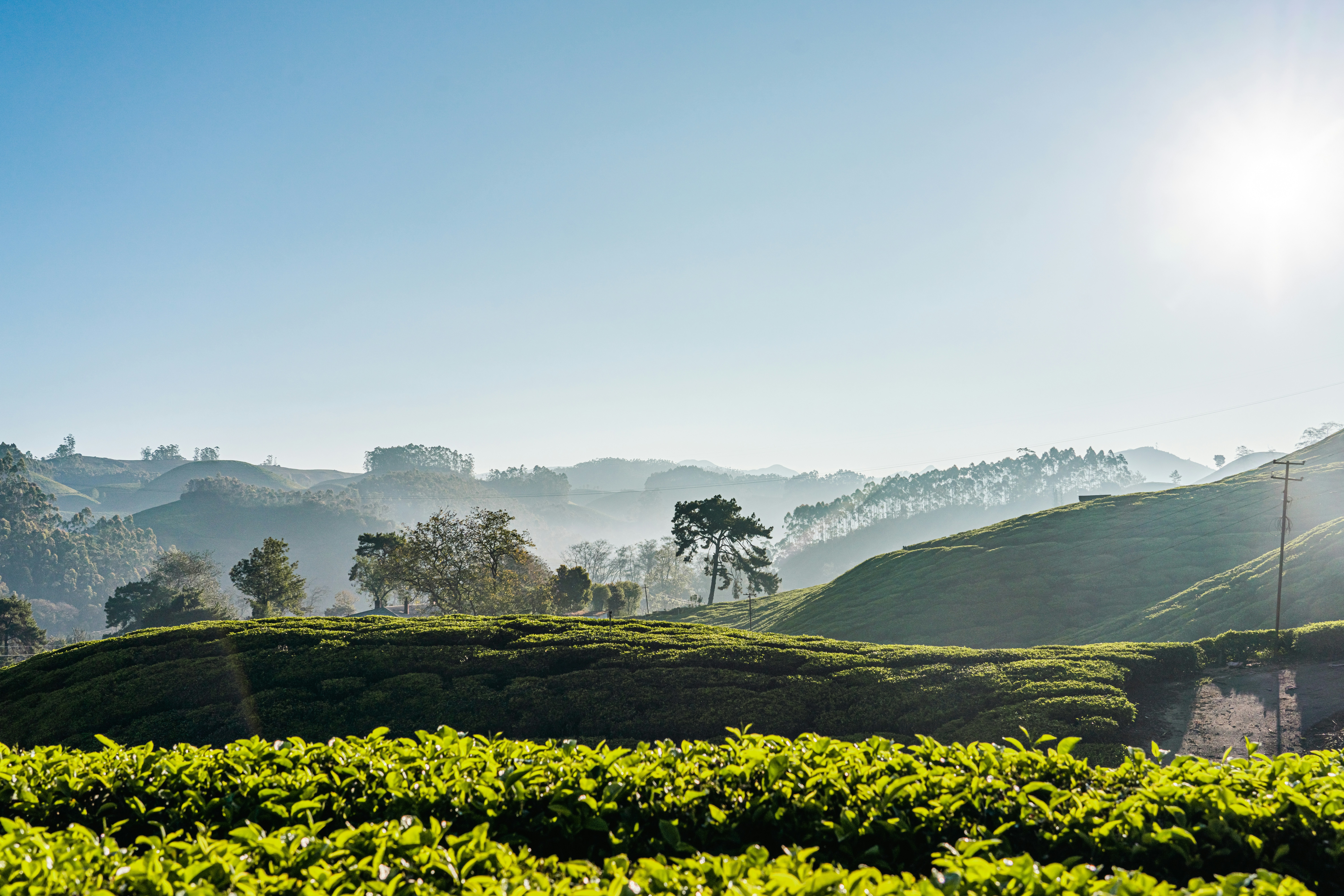 Photo by meemoome_productions