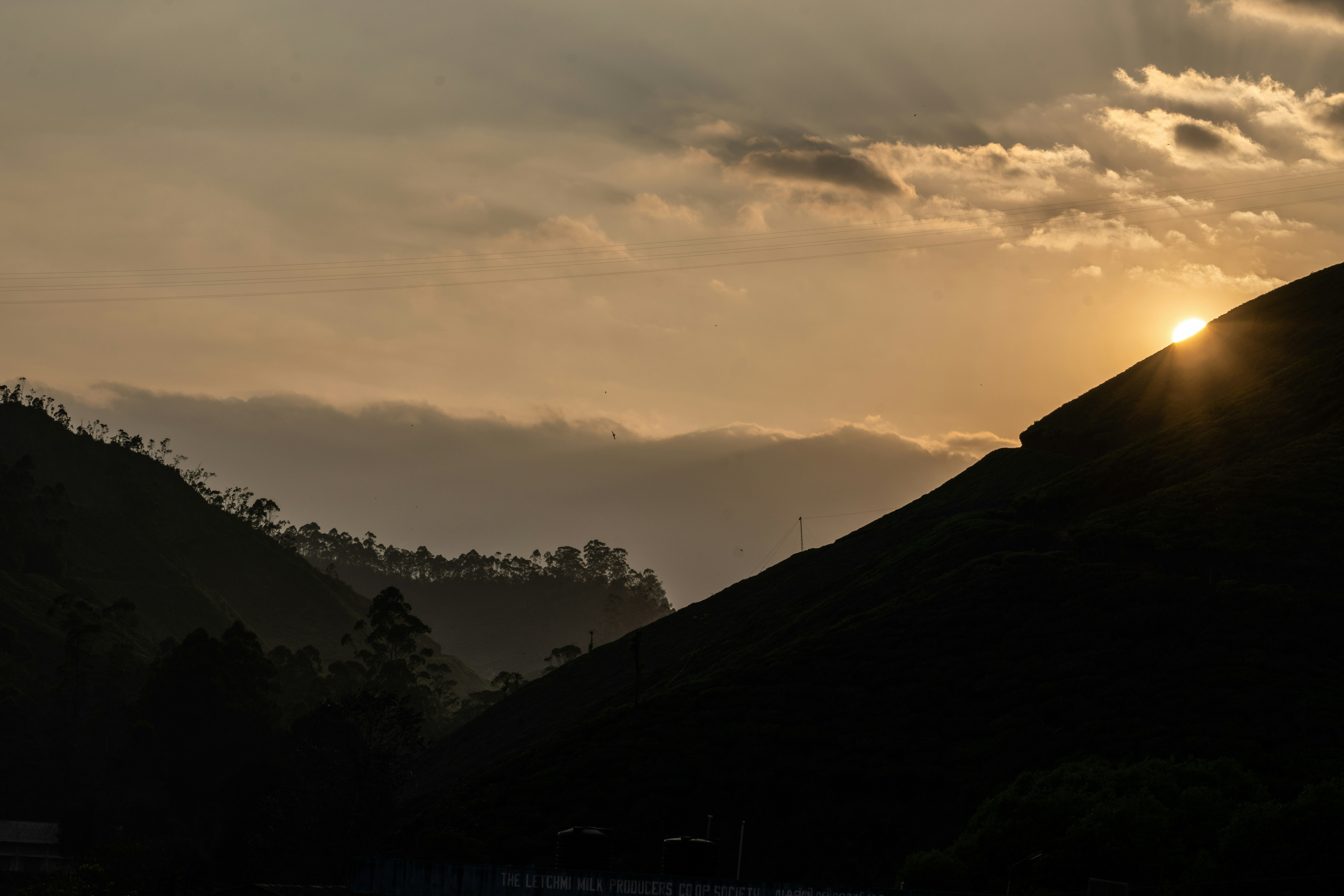 Photo by meemoome_productions