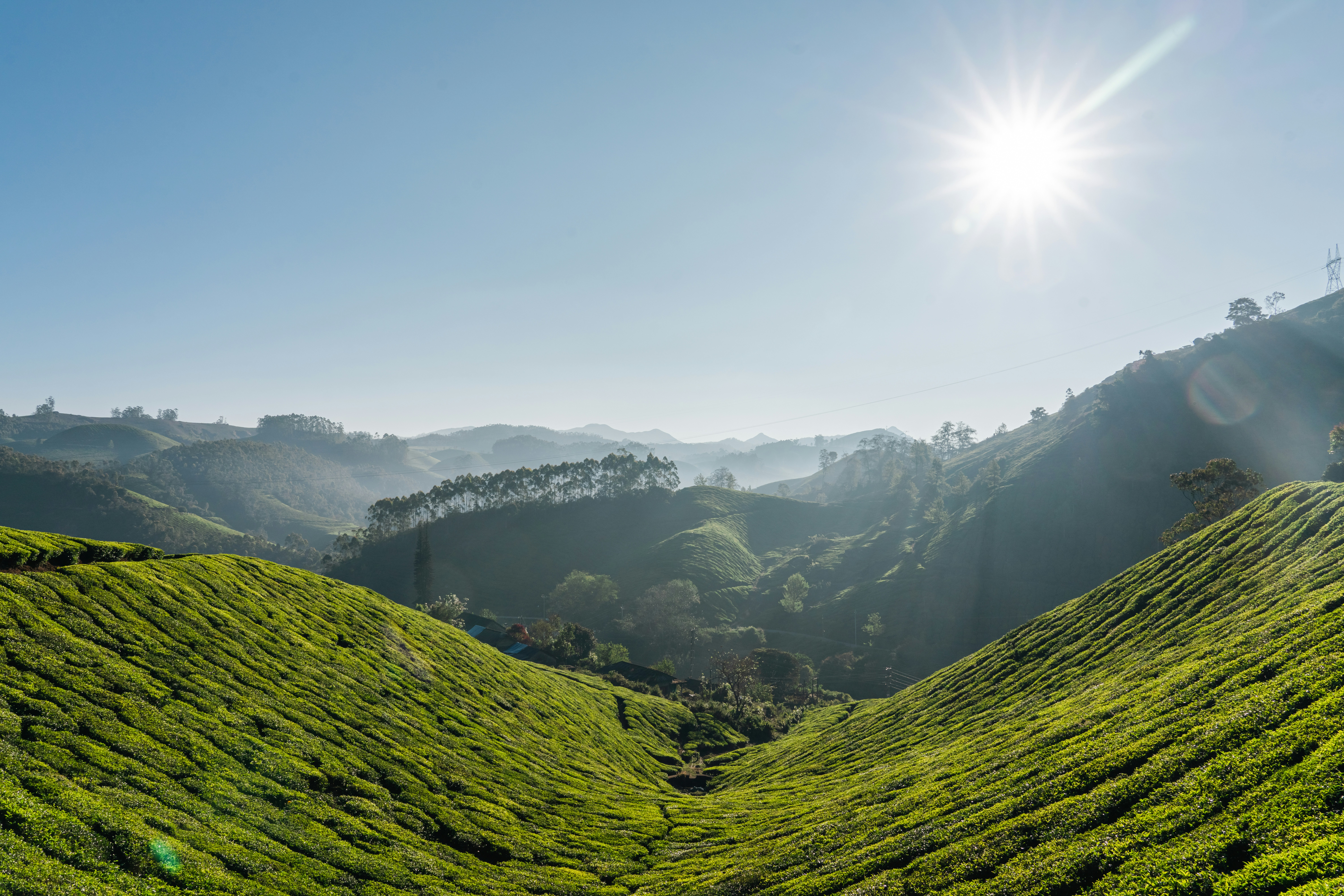 Photo by meemoome_productions