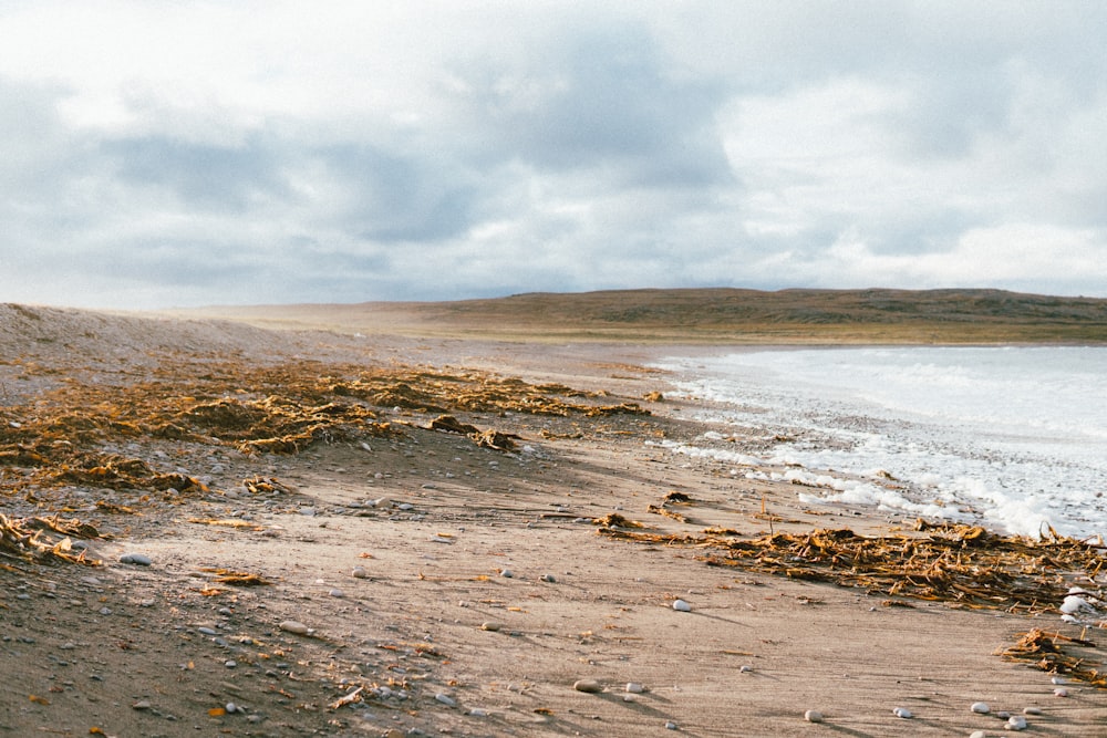 a beach with rocks and water