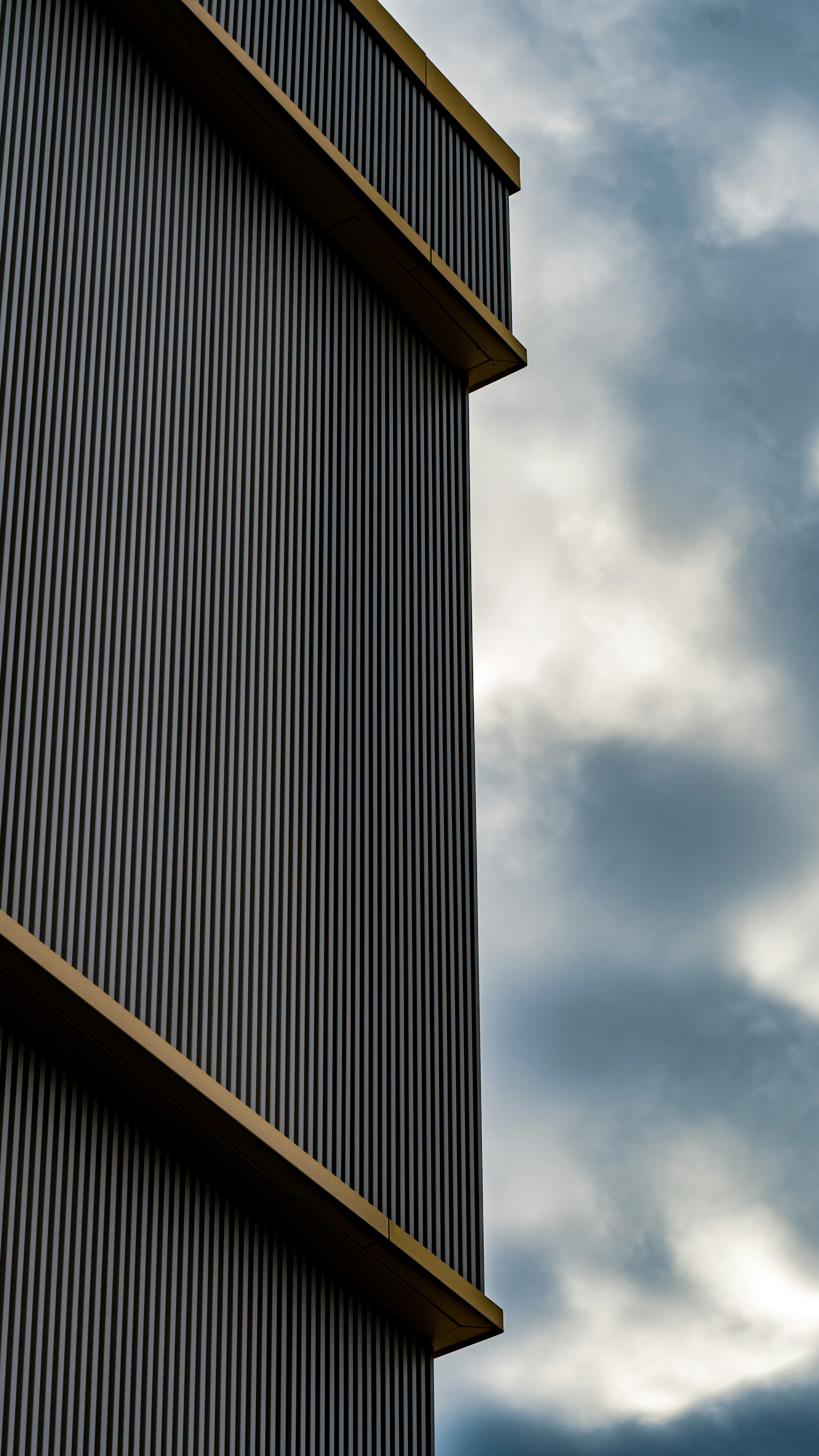 Photo by watchelijah