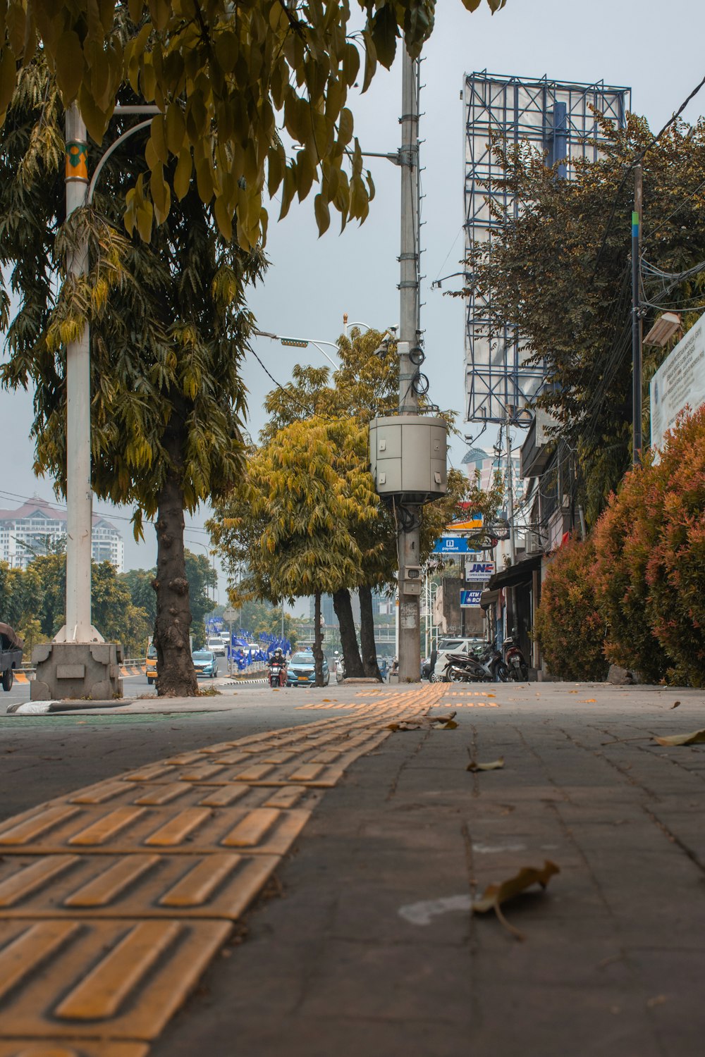 uma rua com árvores e edifícios