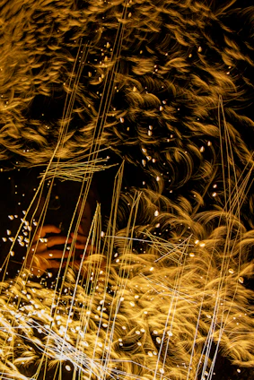 A dynamic collage of young creators filming and sharing energetic short videos on their smartphones with neon gradient overlays.