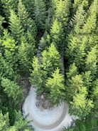 Aerial view of a scenic hiking trail winding through a forest.