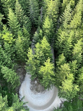 Aerial view of a scenic hiking trail winding through a forest.