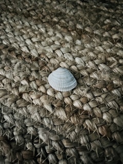 A small, white seashell is placed on a textured woven surface, likely made of natural fibers. The shell contrasts with the rough texture of the fibers, creating an earthy and organic feel.