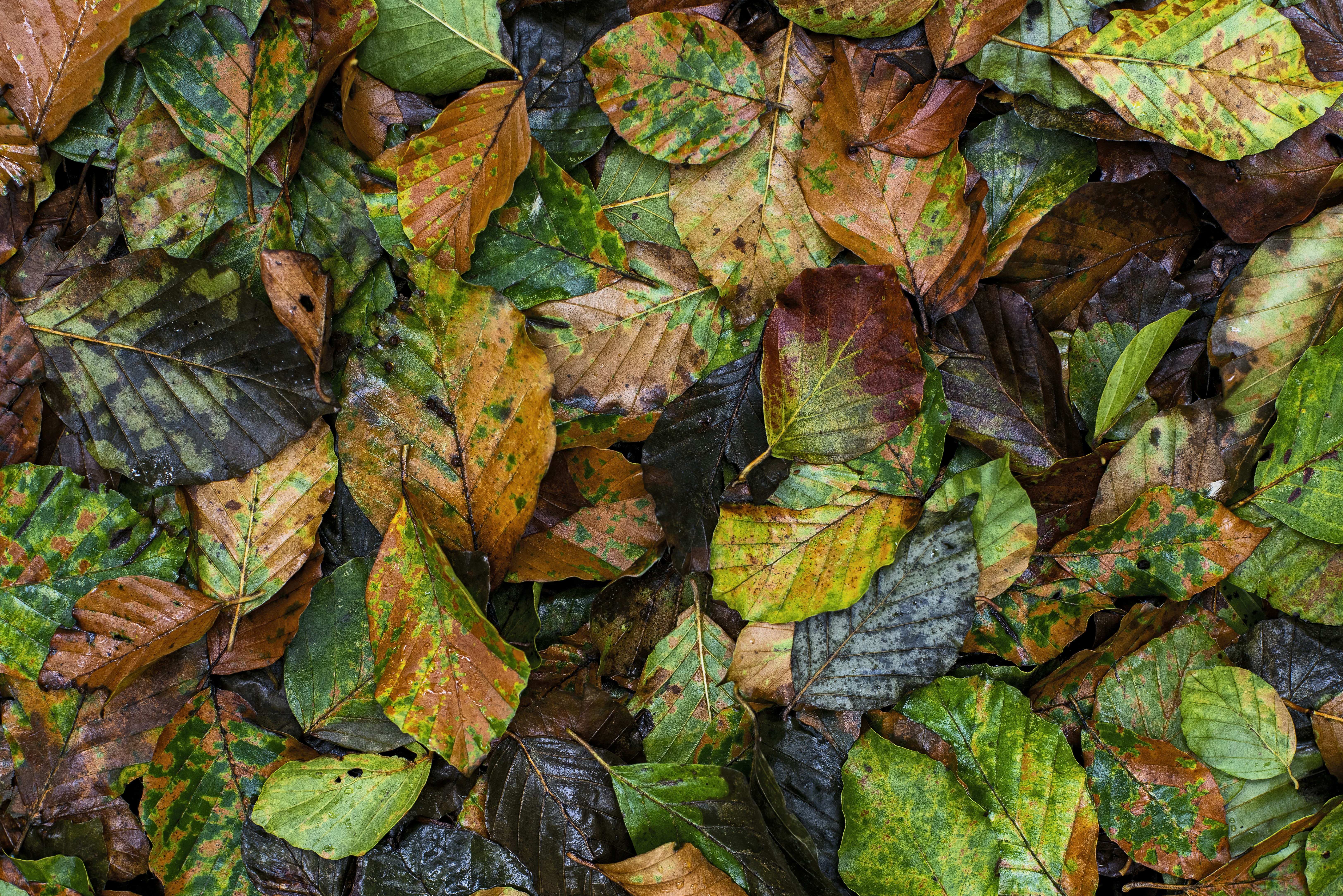 Photo by switch_dtp_fotografie