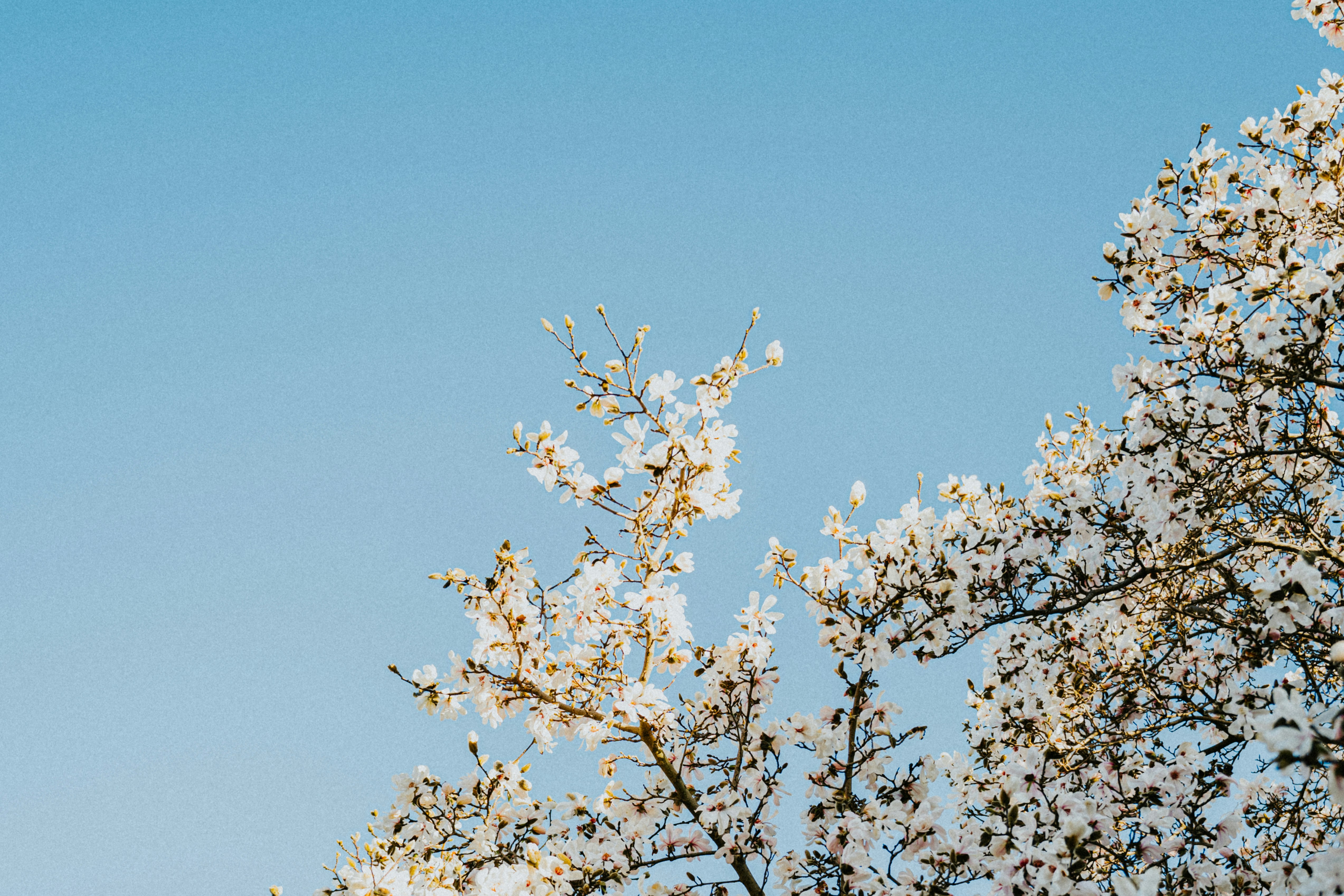 Photo by ryancuerden