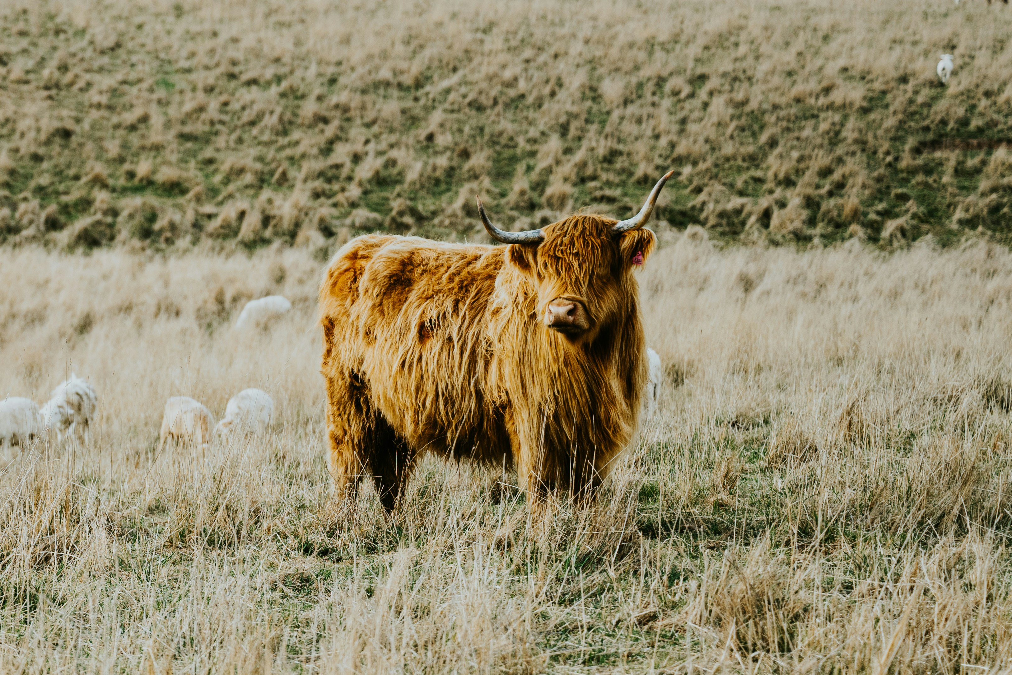 Photo by ryancuerden