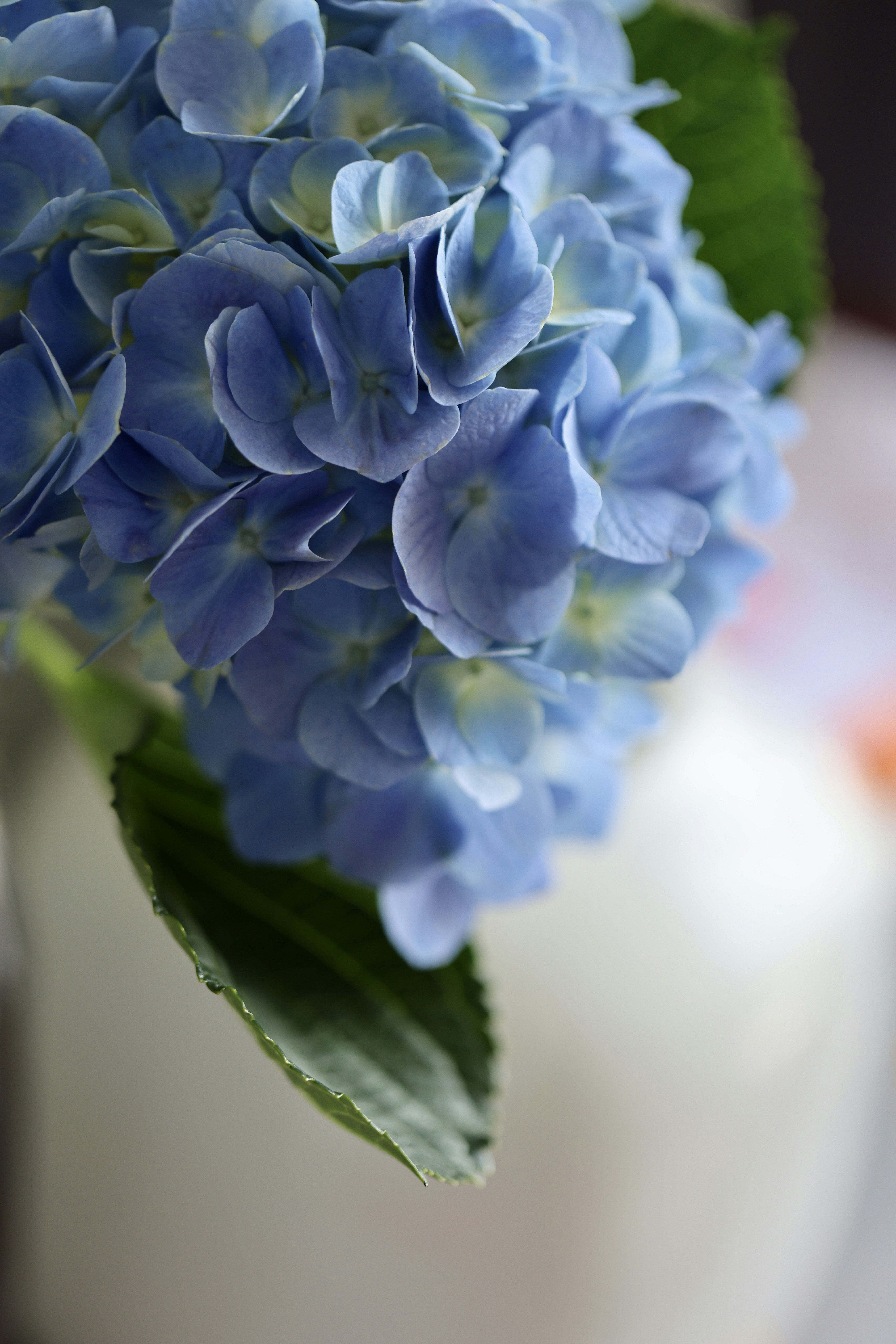 Photo by dickenslin76