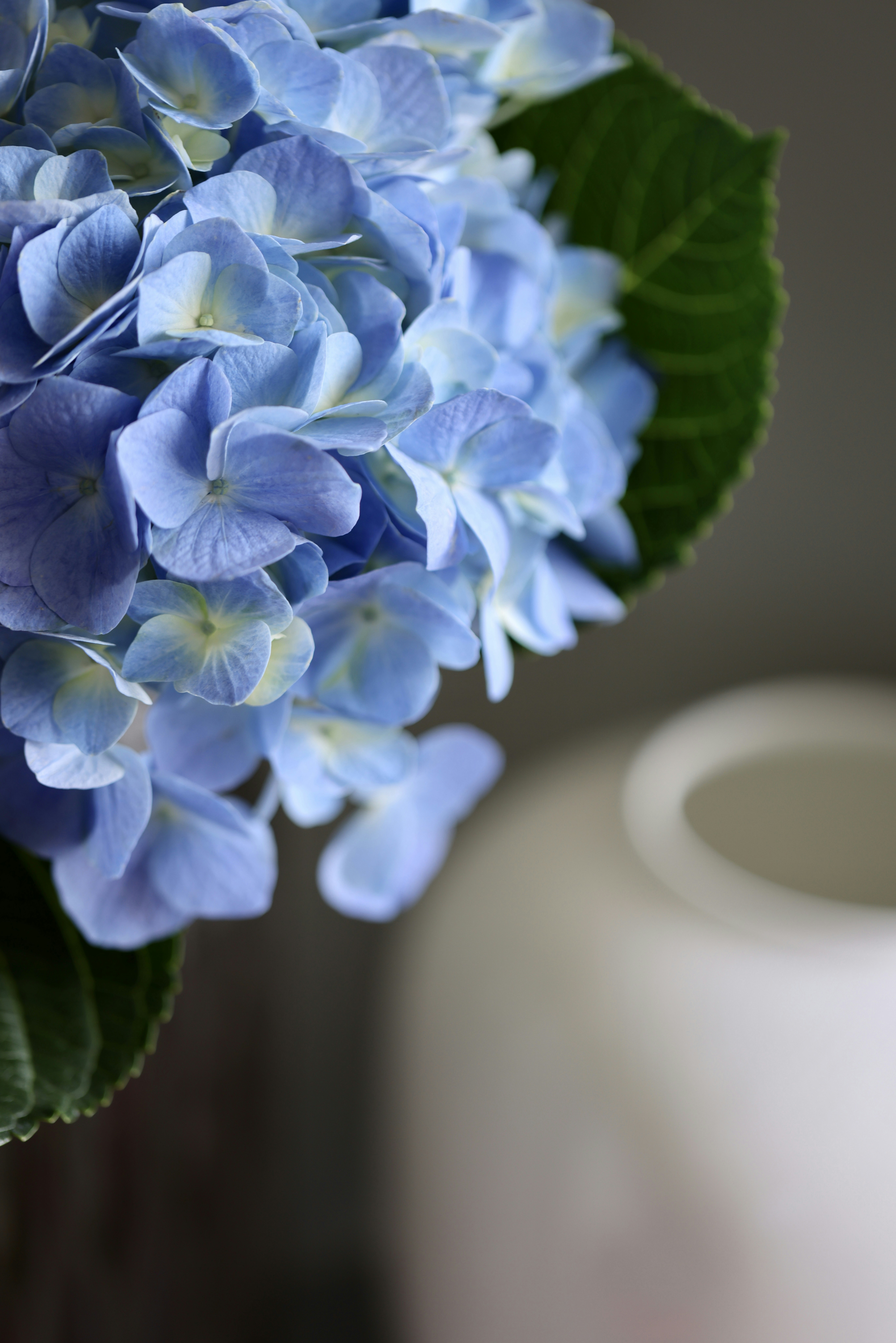 Photo by dickenslin76