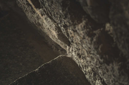 Close-up of weathered European flagstone showcasing its natural texture and warm ivory tones under soft sunlight.
