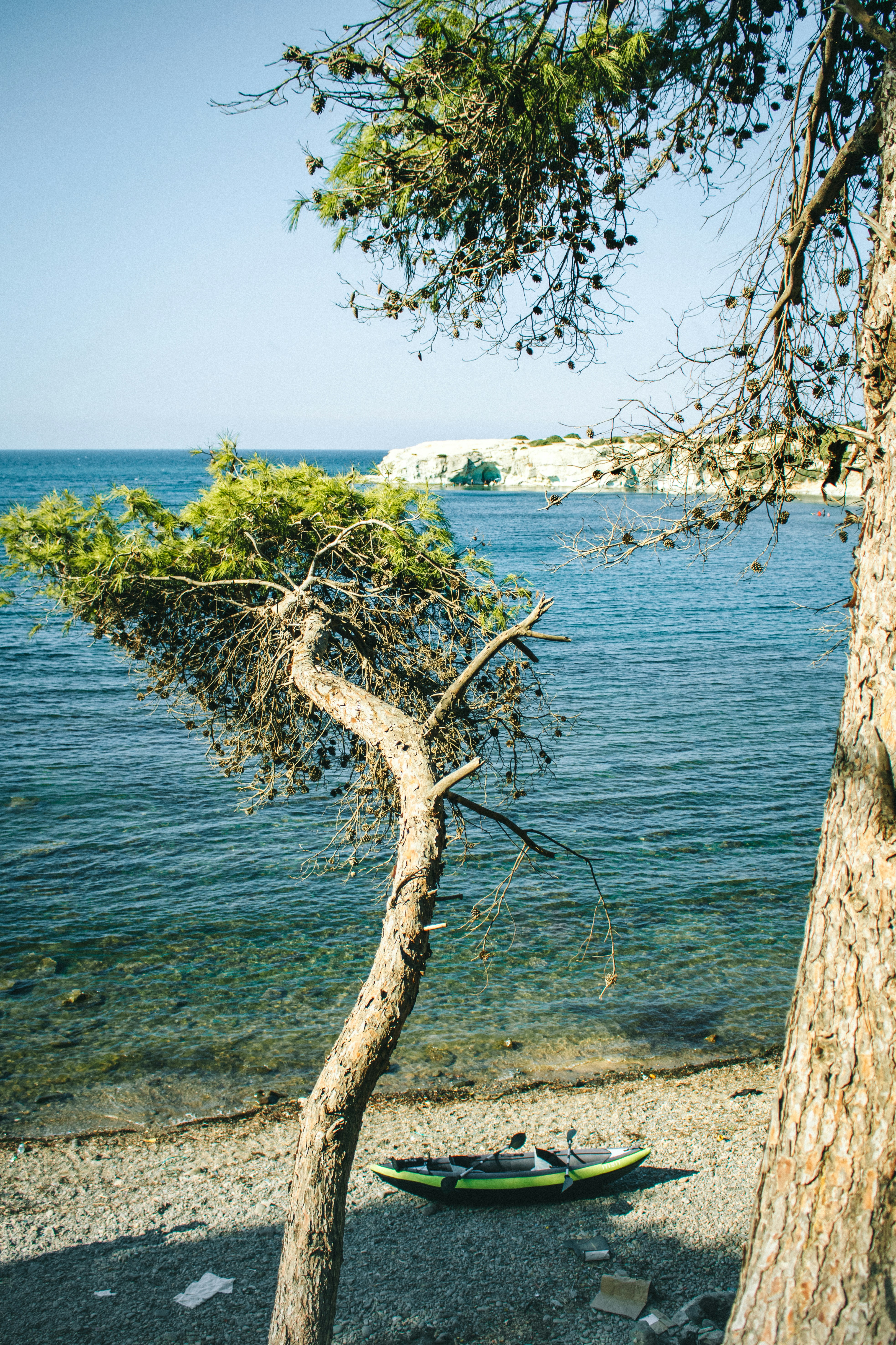 Photo by mounir_abdi