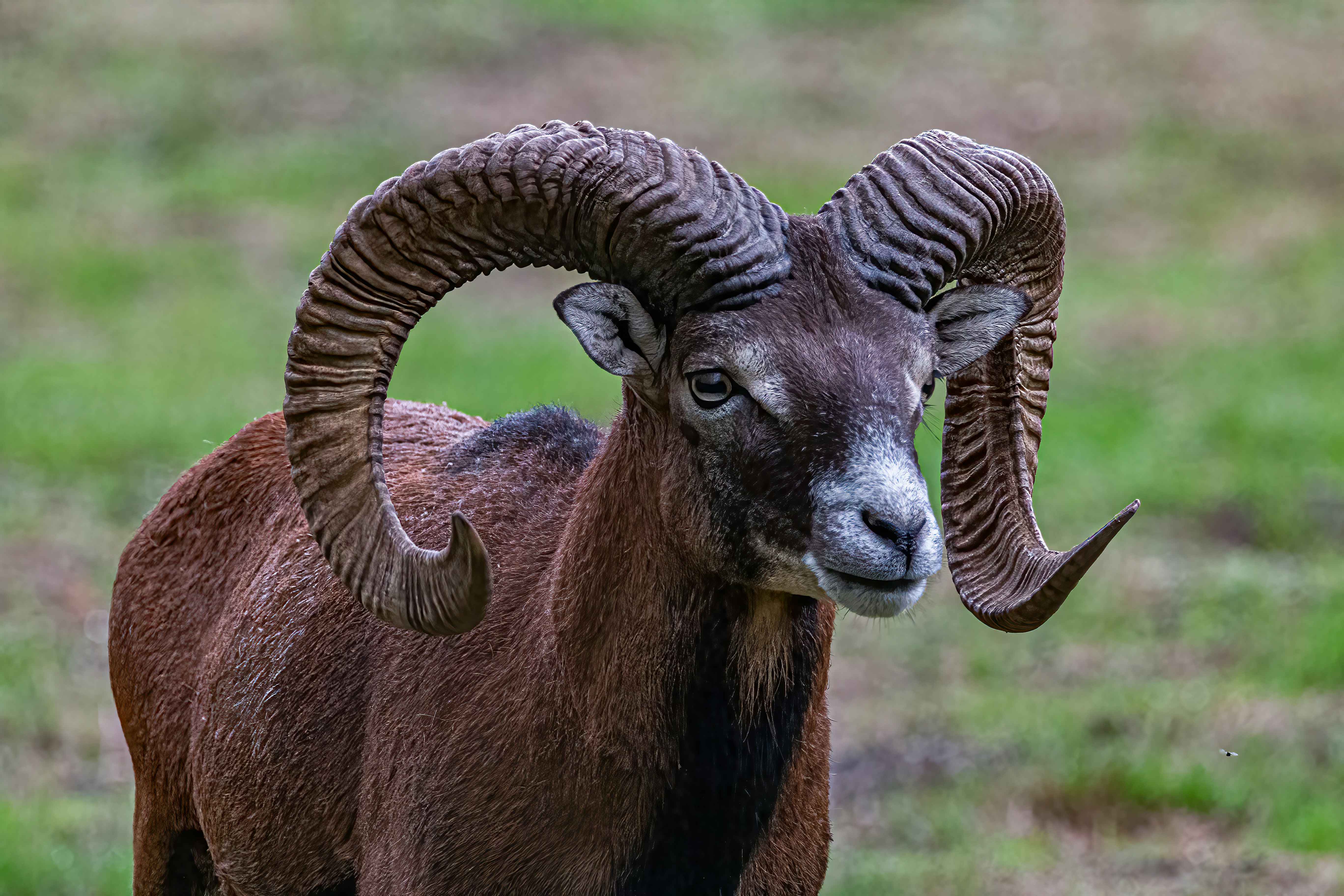 Photo by kennygoossen