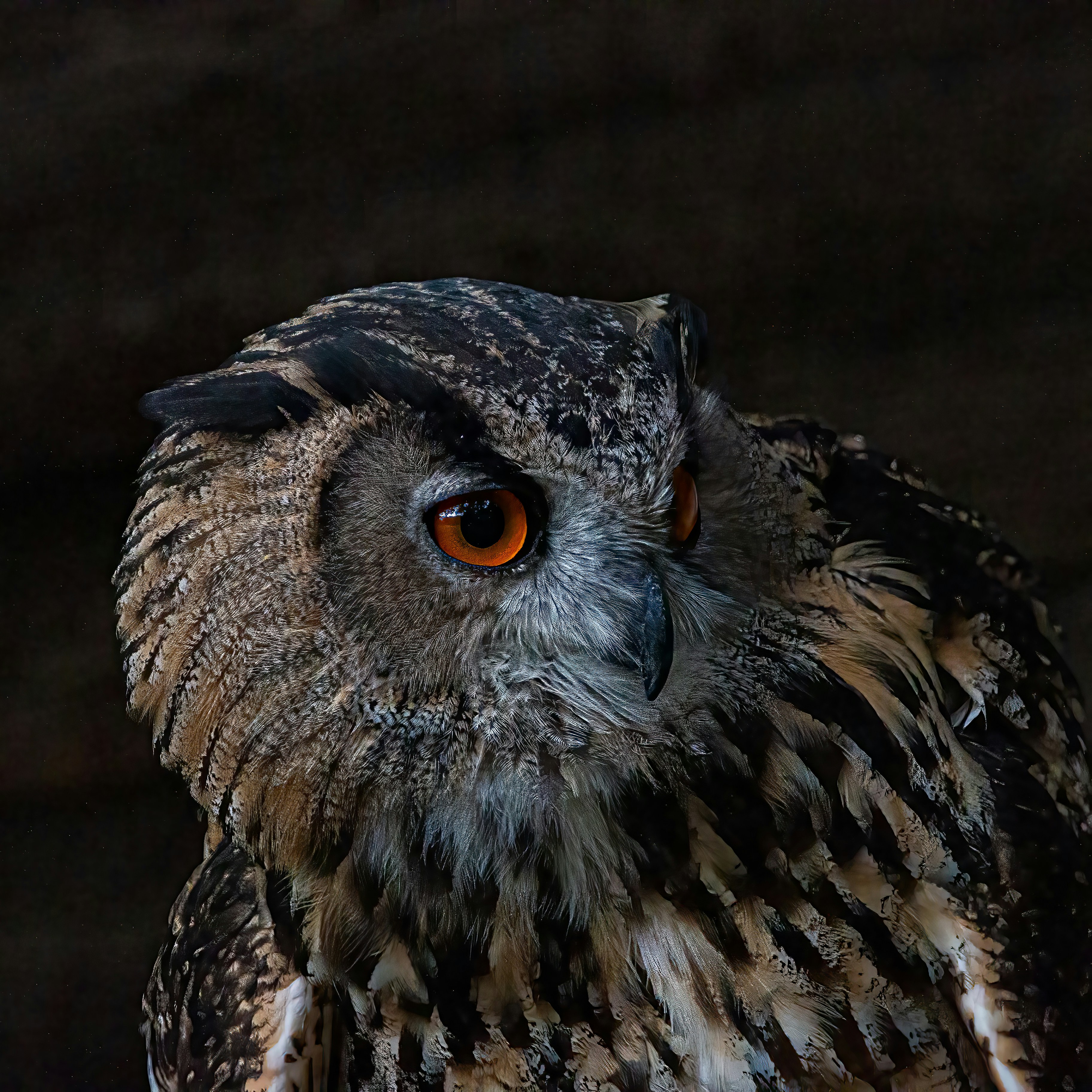 Photo by kennygoossen