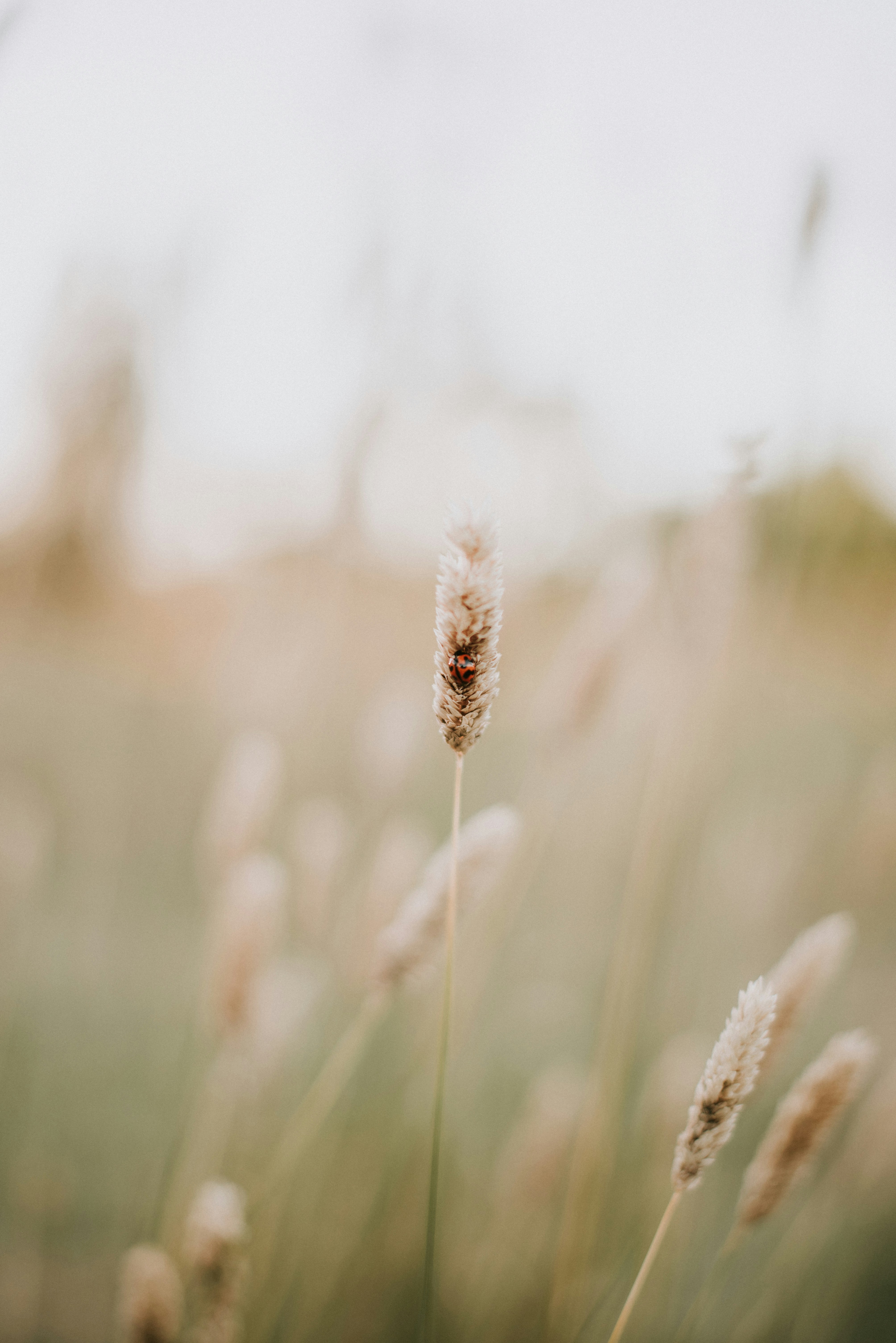 Photo by ryancuerden