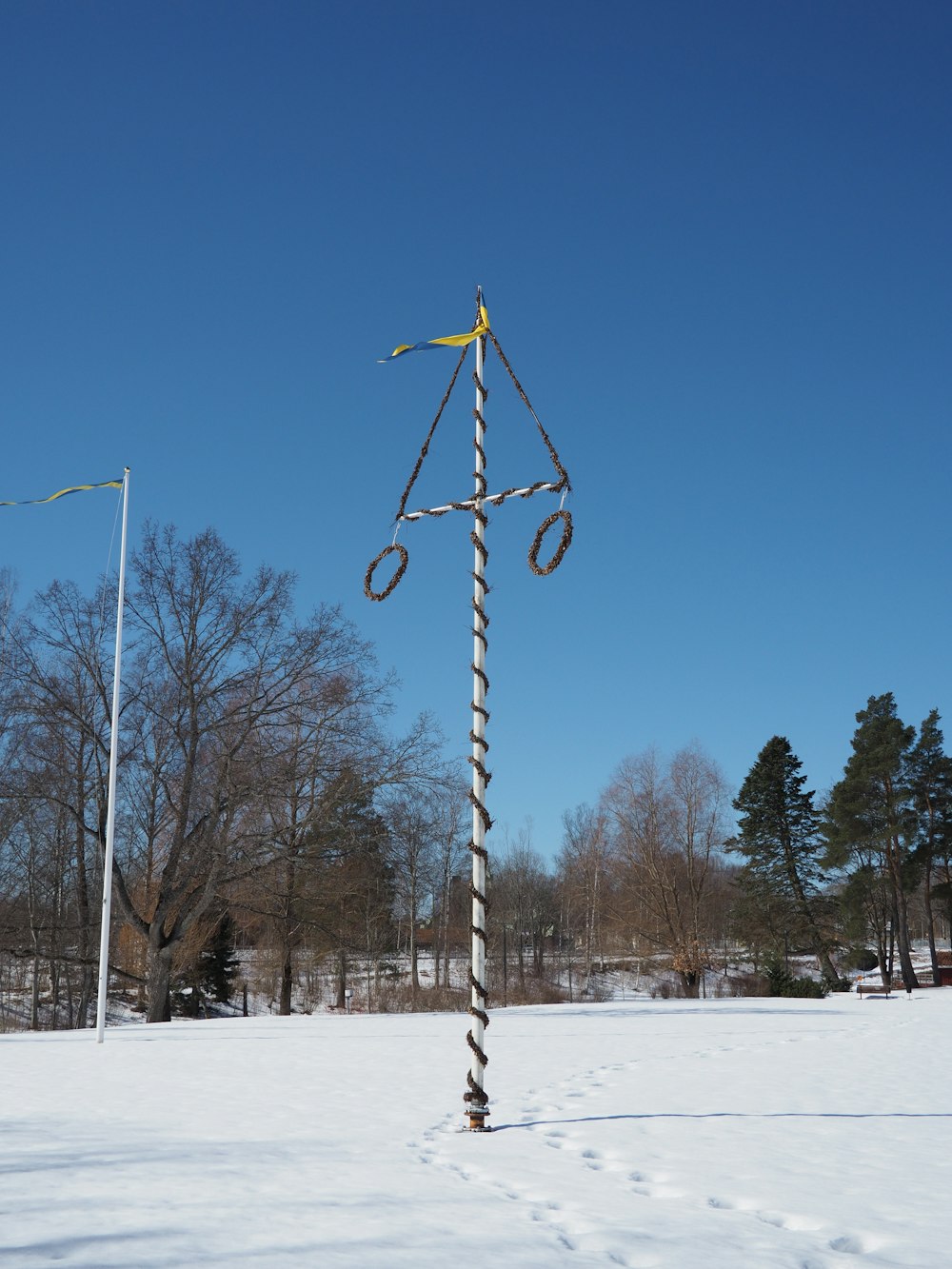 a pole with a flag on it in a snowy area