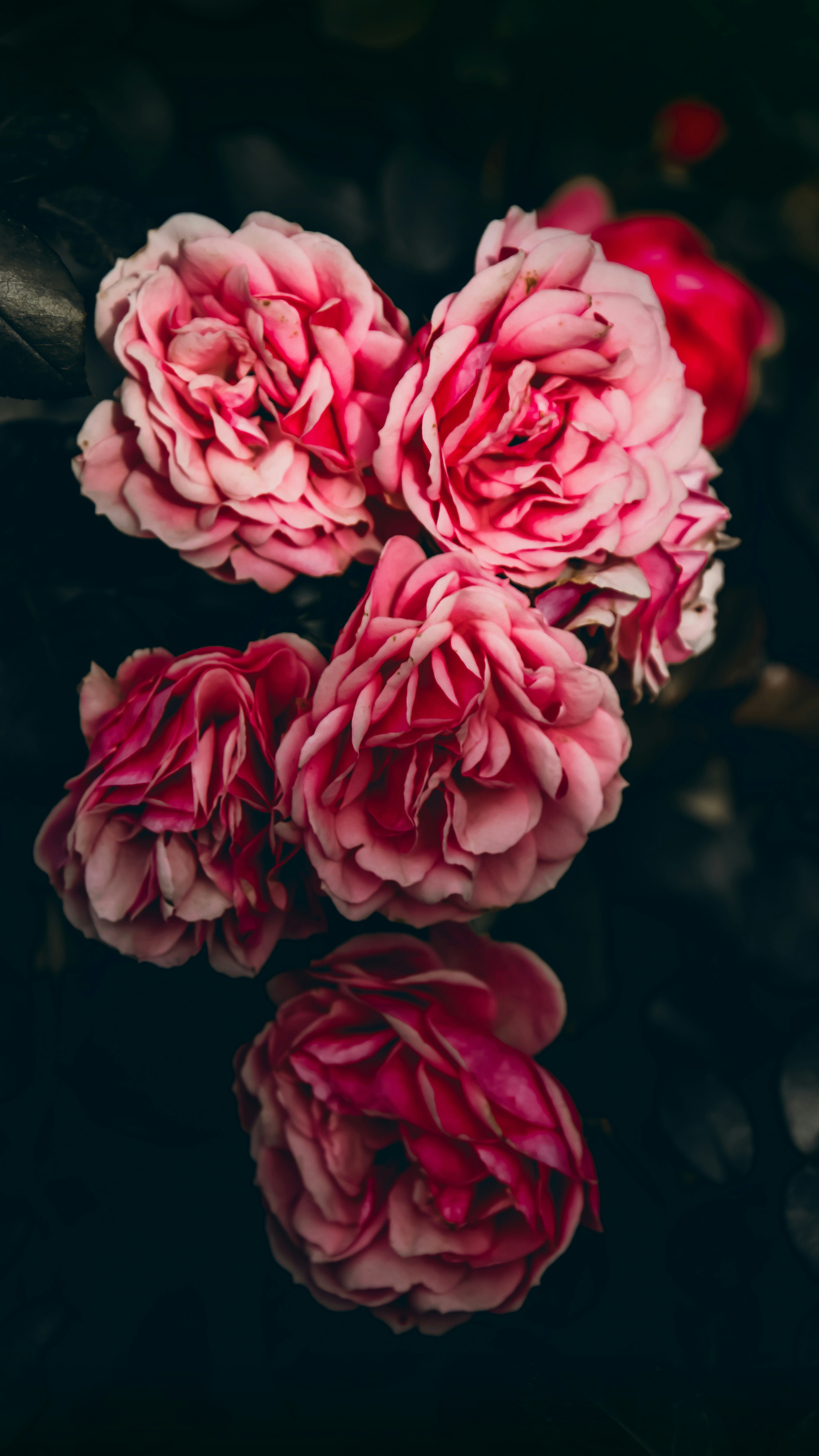 Photo by impermanent