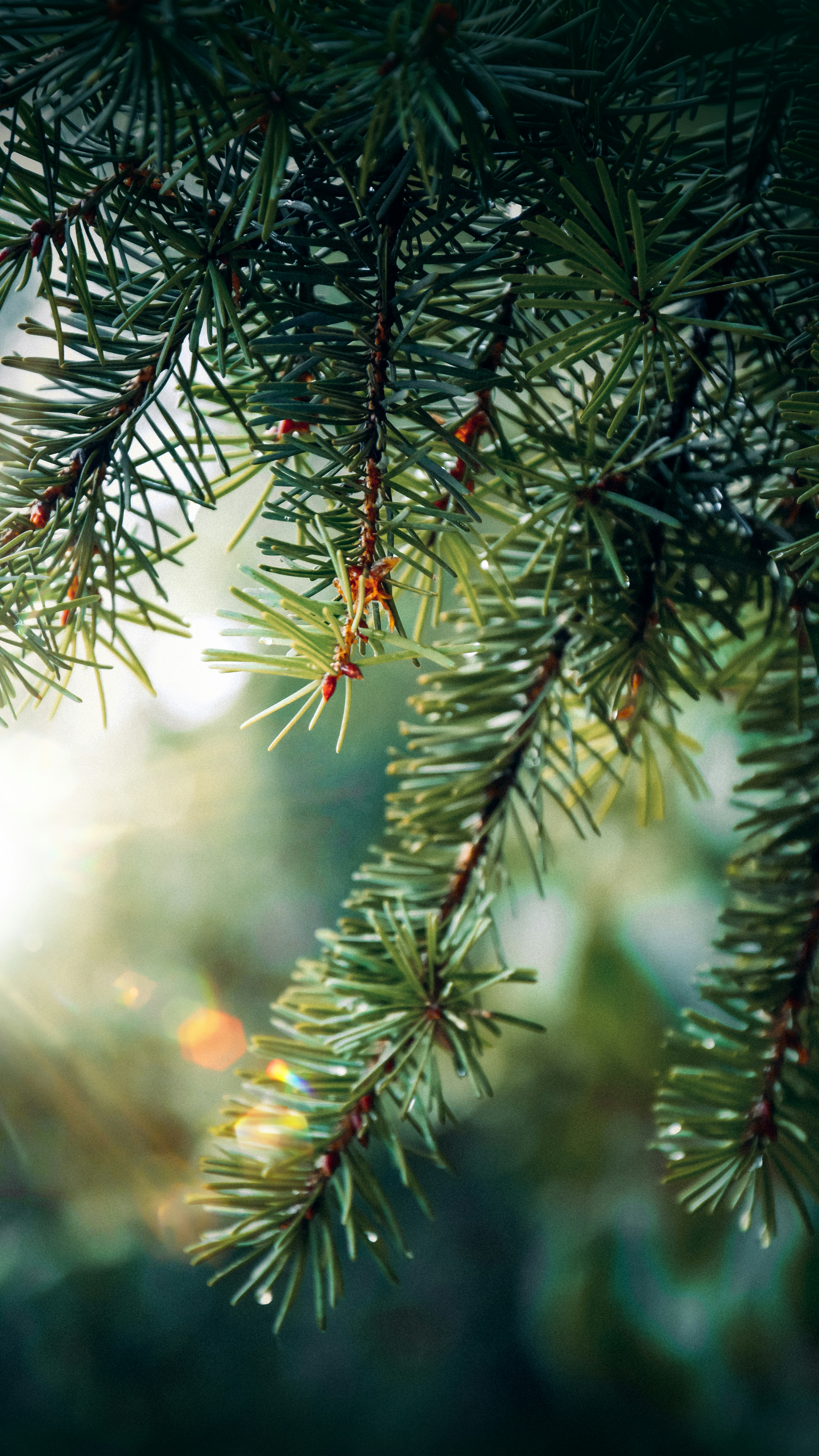 Photo by impermanent