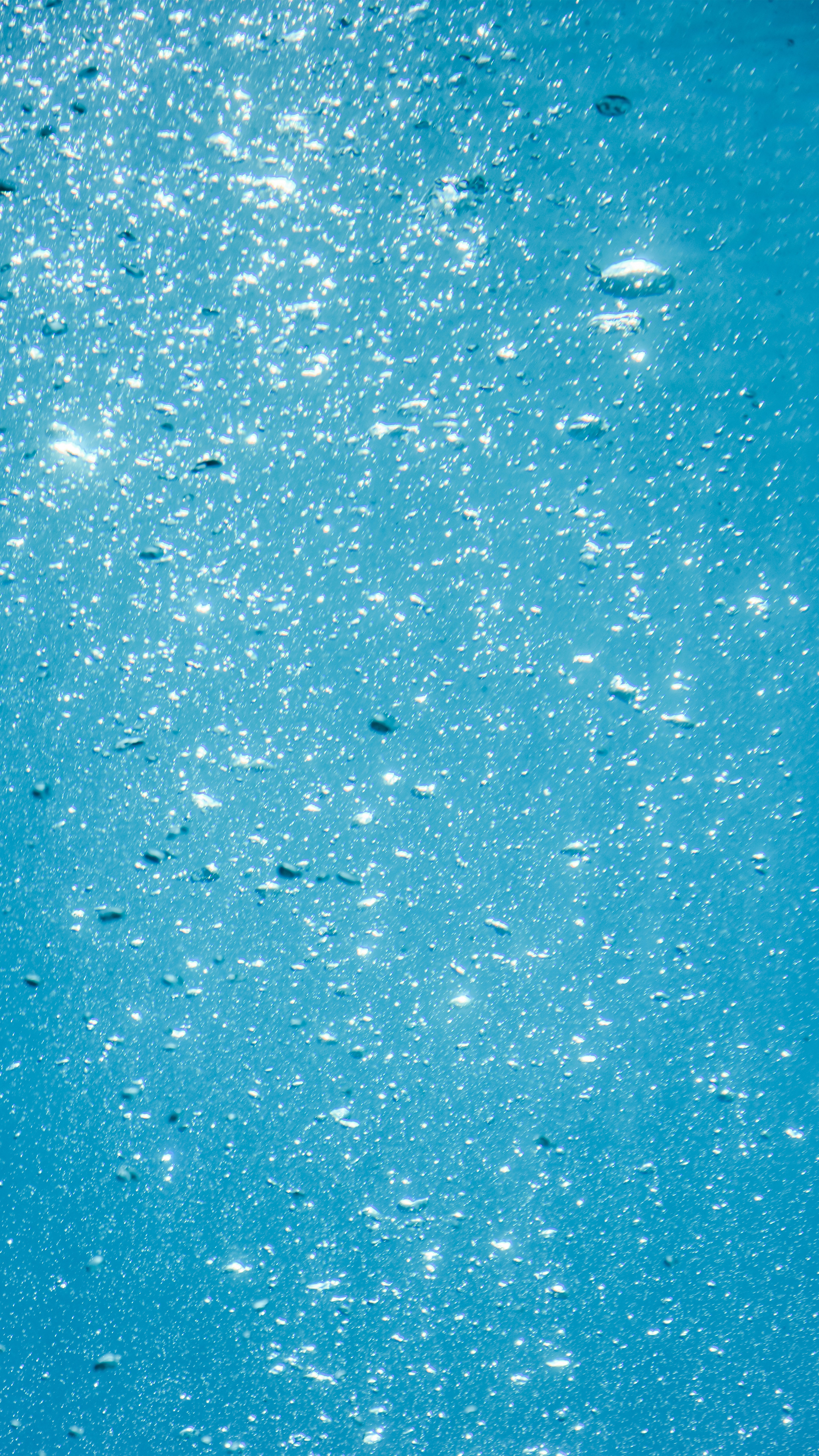 Photo by impermanent