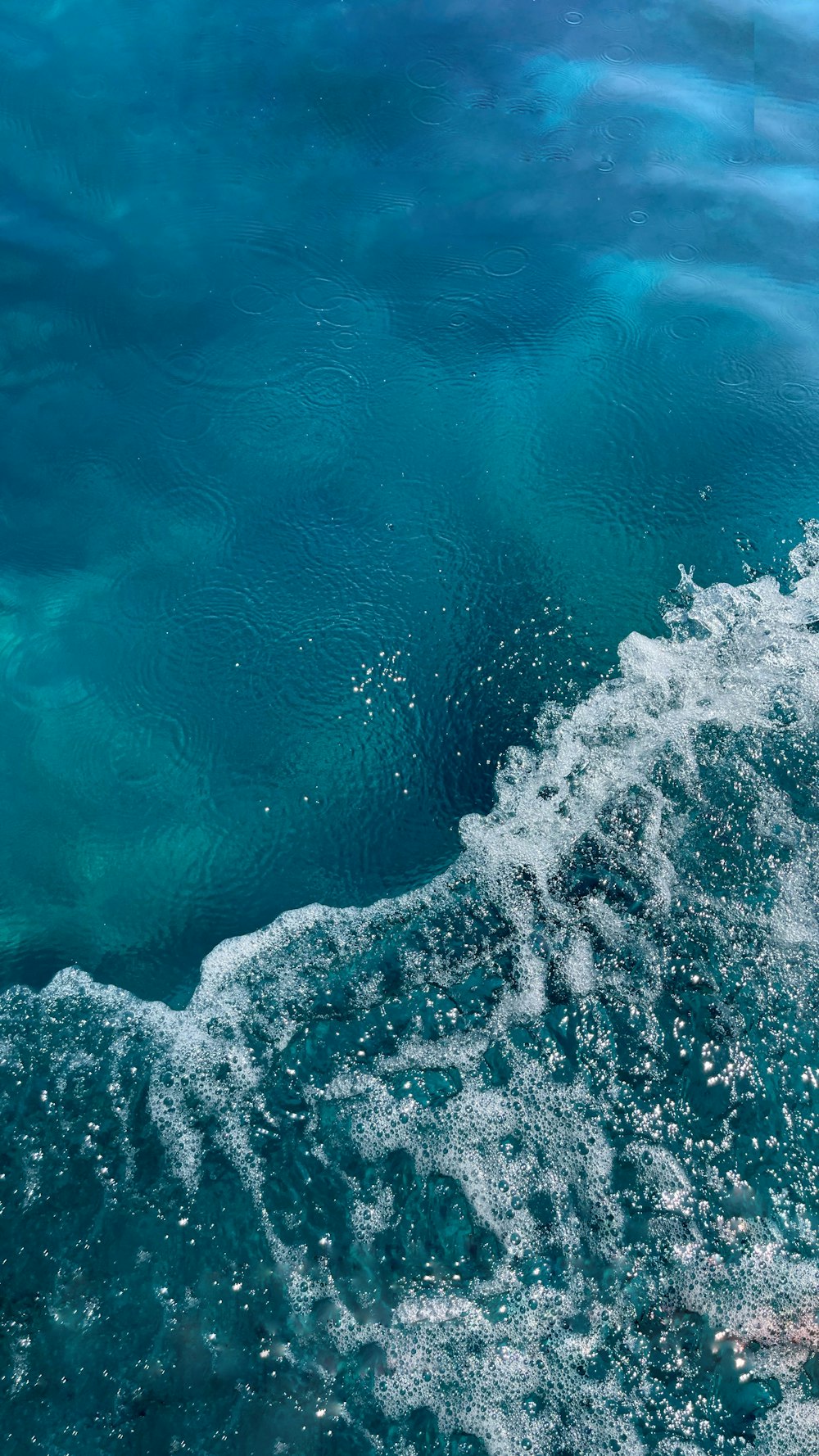 a wave in the ocean