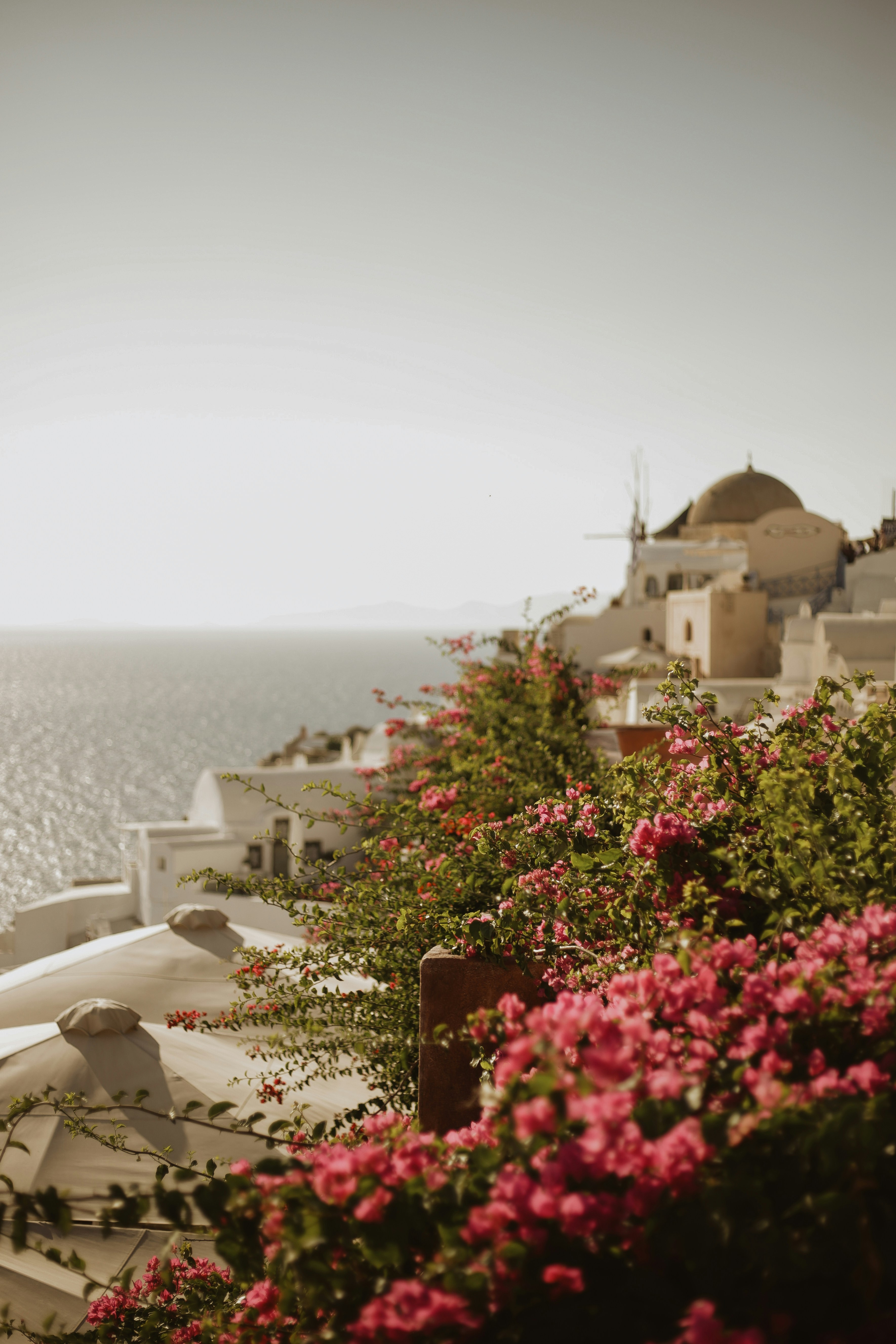 a building with a domed roof and a large body of water in the background