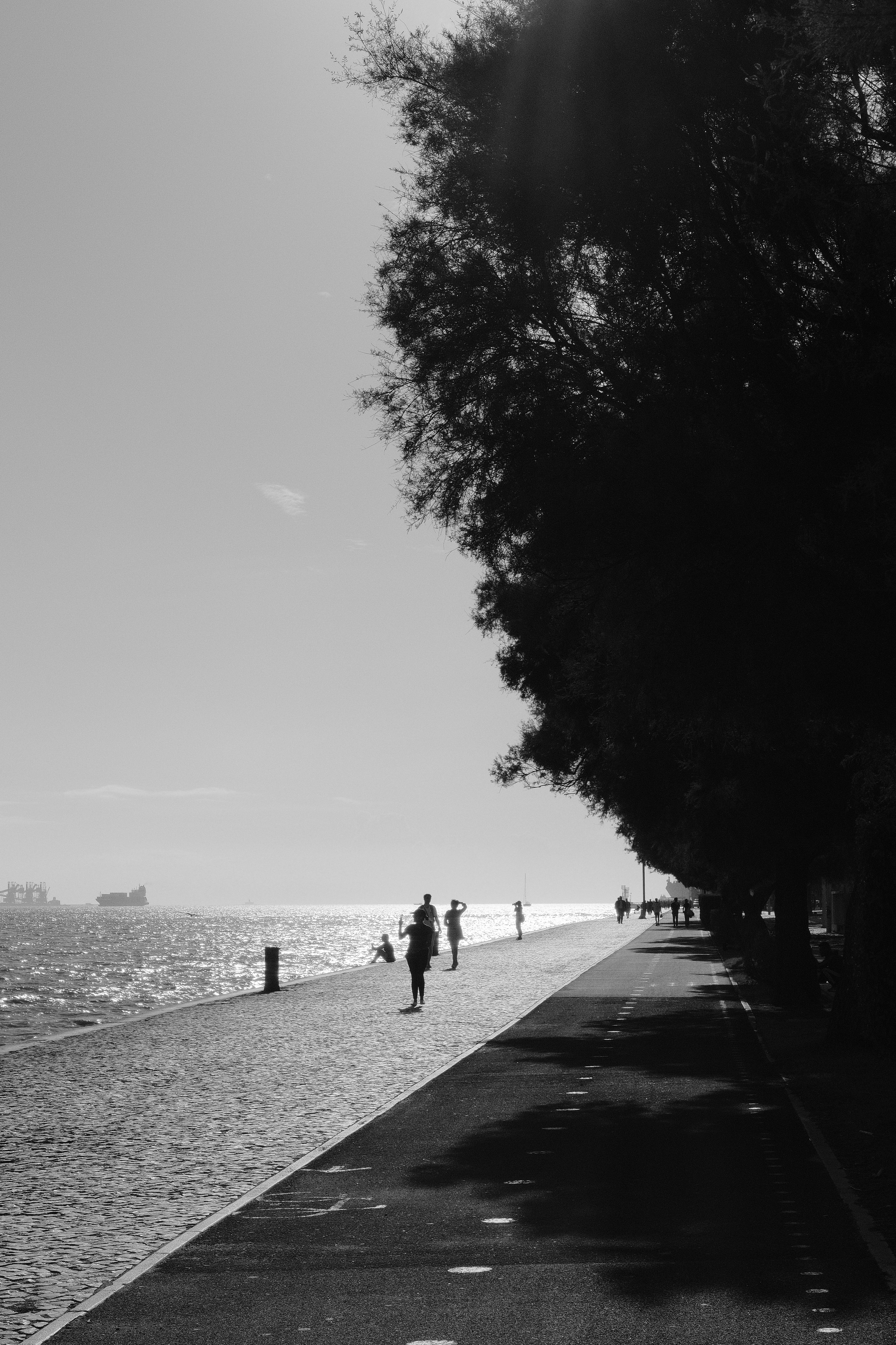 Photo by gabrielreisnf