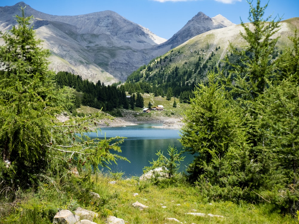 a lake surrounded by trees and mountains