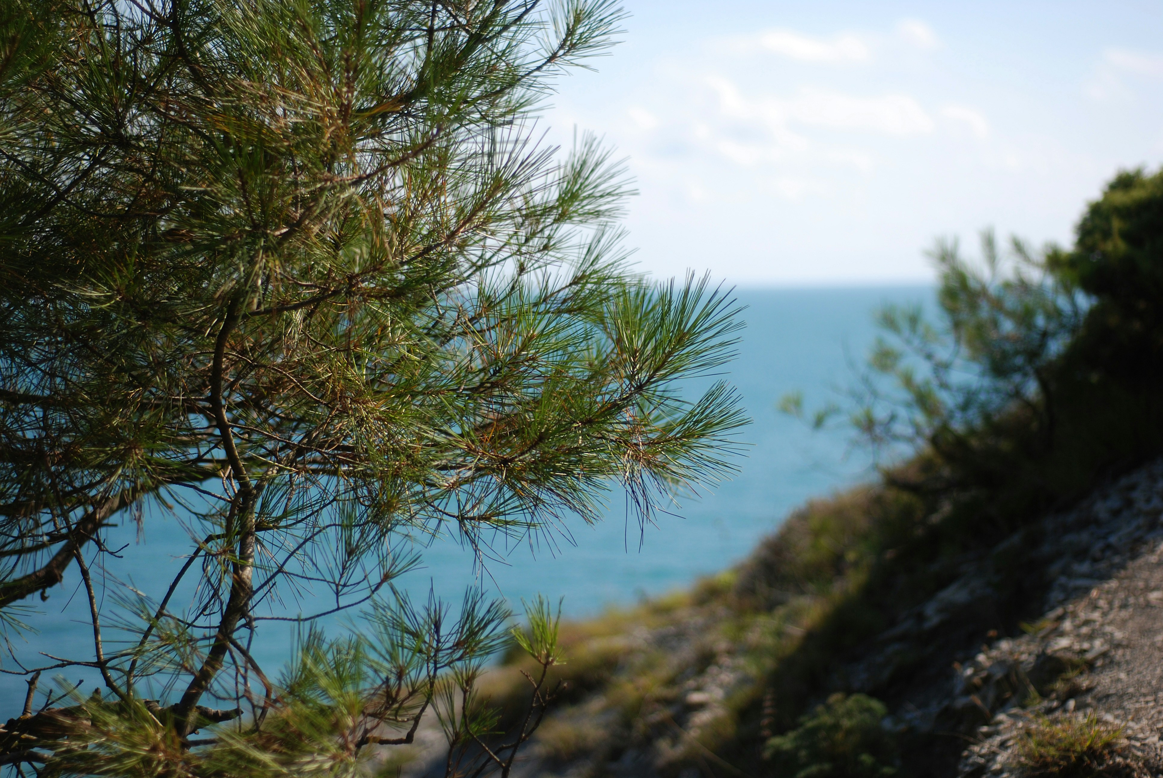 Photo by kovalskihelga