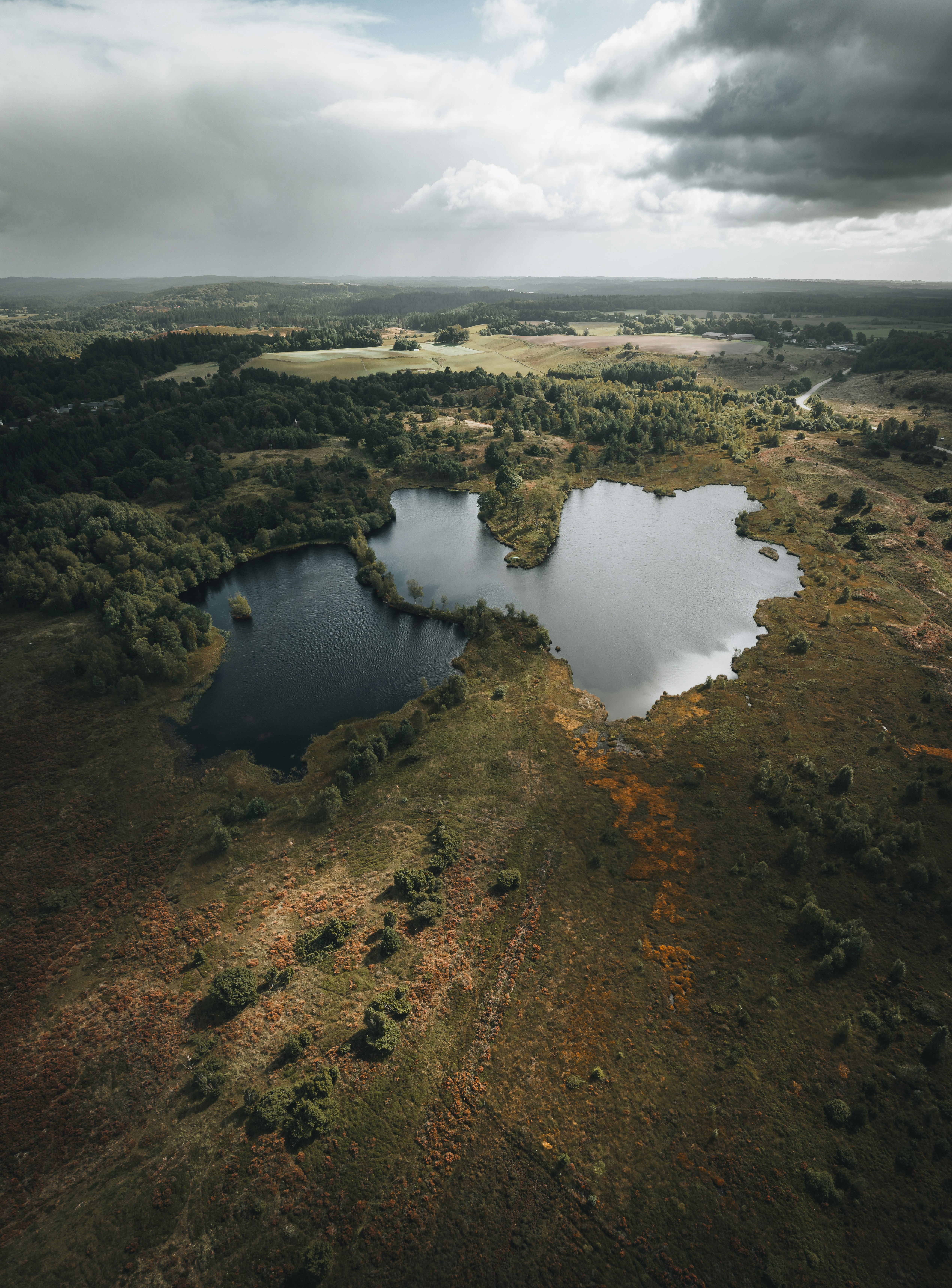 Emotional swing with a lover