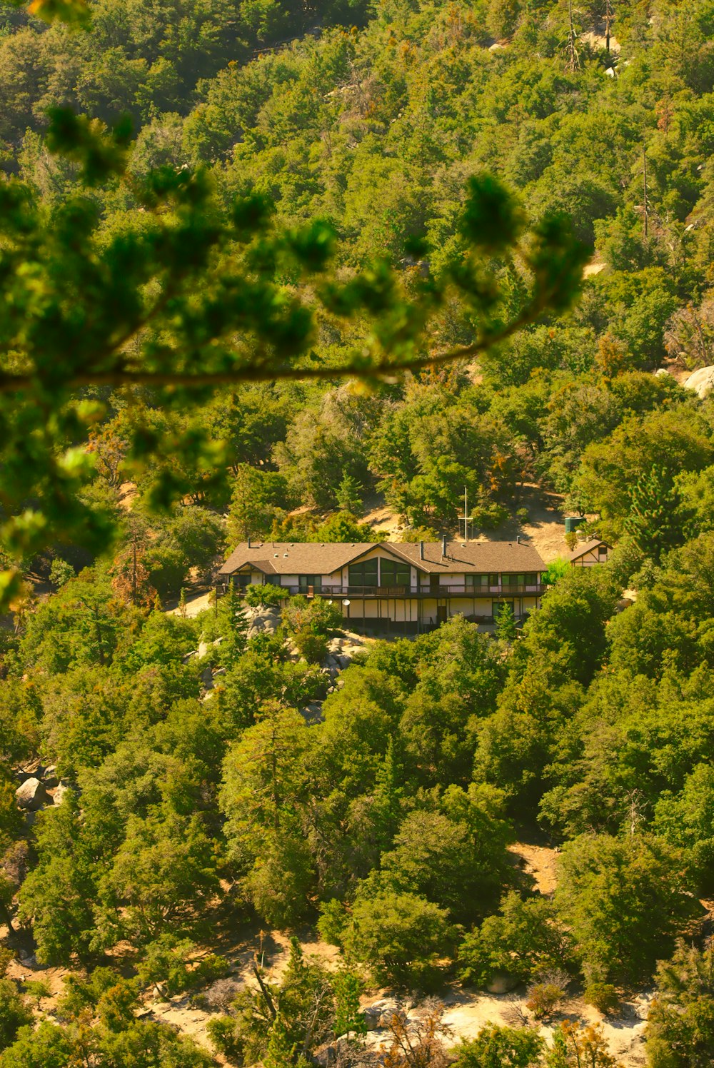 a house in the middle of a forest