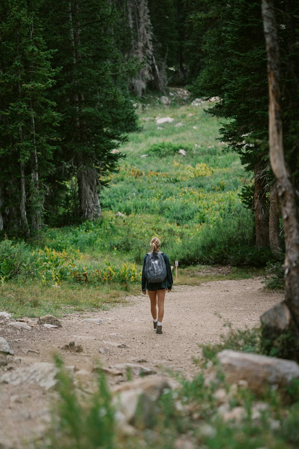 a person walking on a trail in the woods