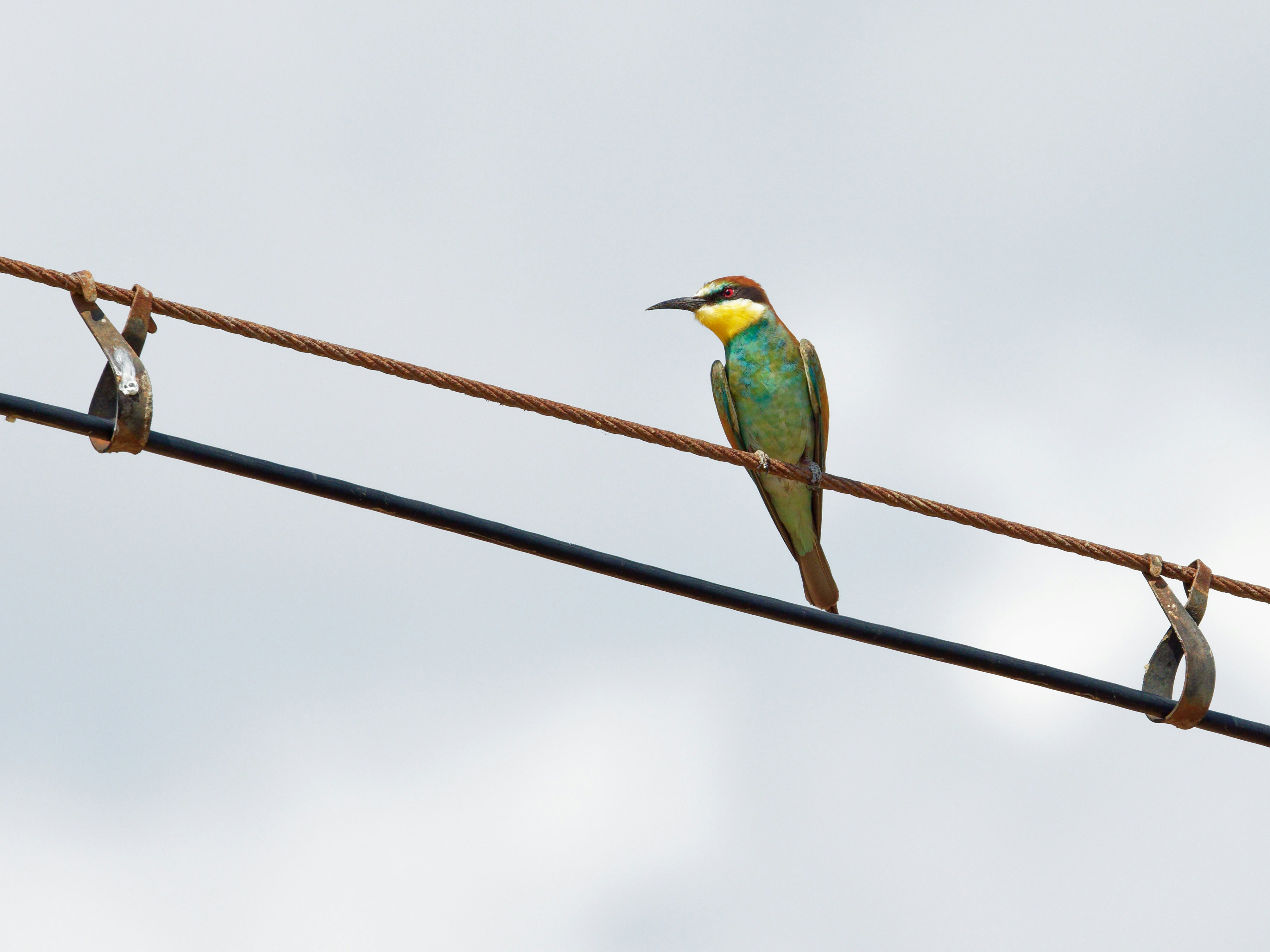 Photo by illes_cristi