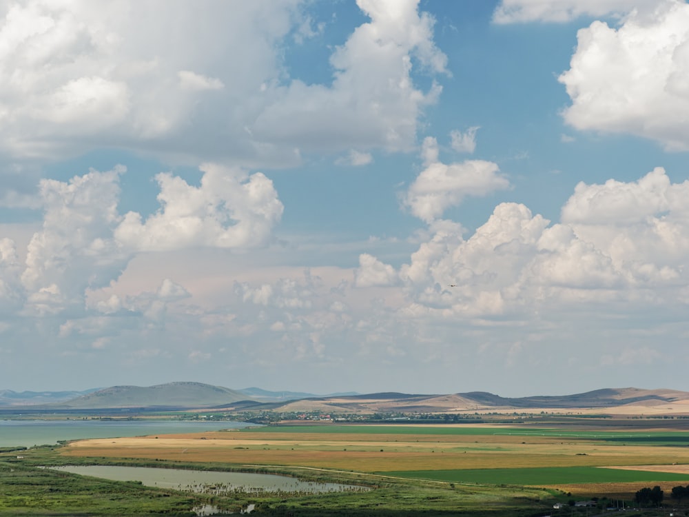 a large green field