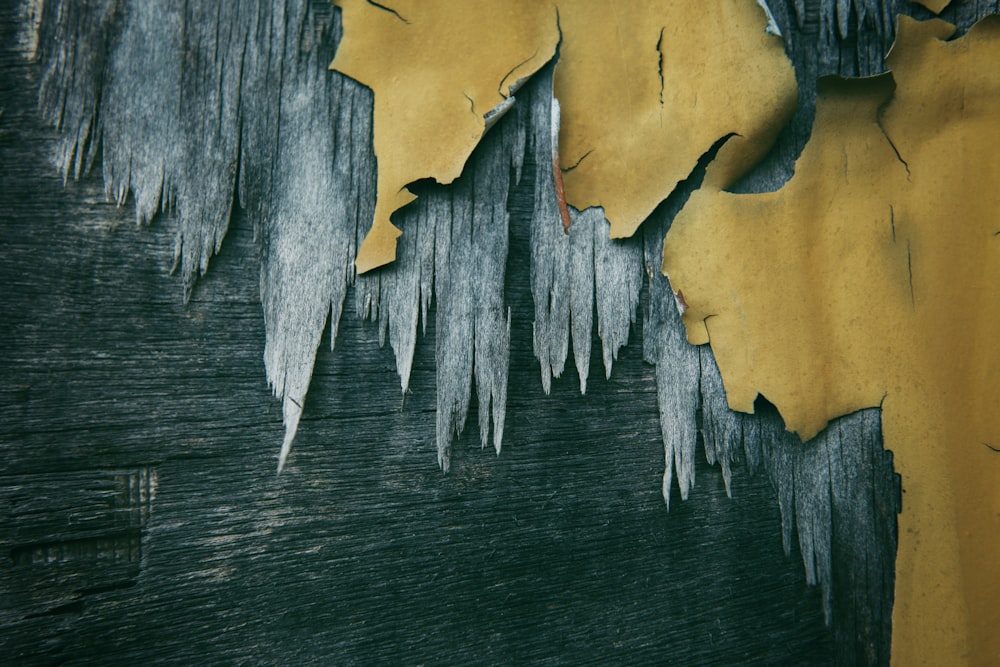 a bunch of ice on a tree