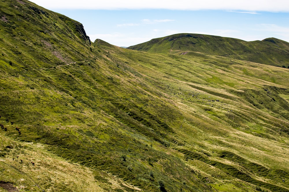 a grassy hill with a valley below