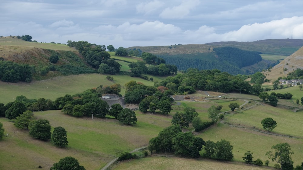 a landscape with trees and grass