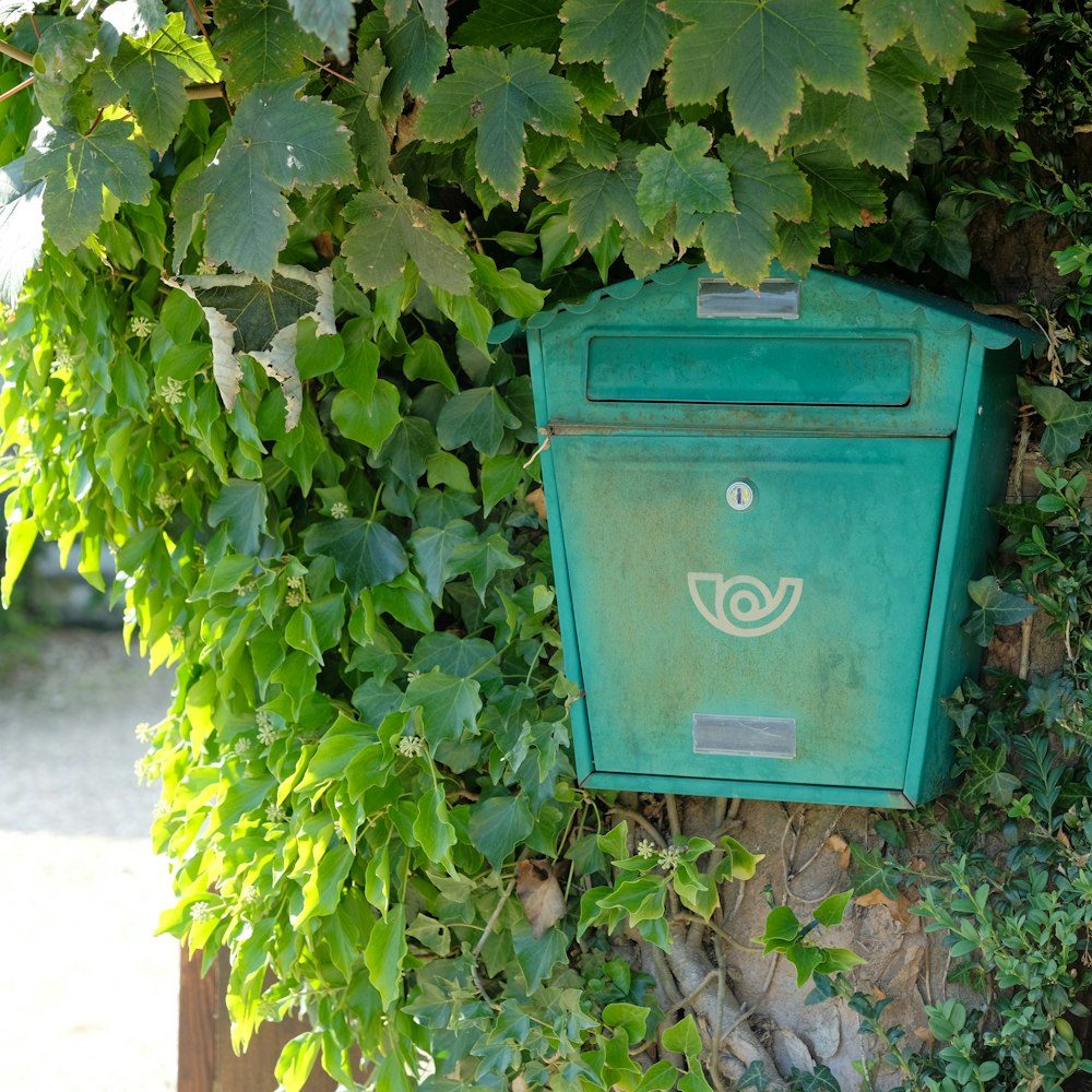 a green mailbox in a bush