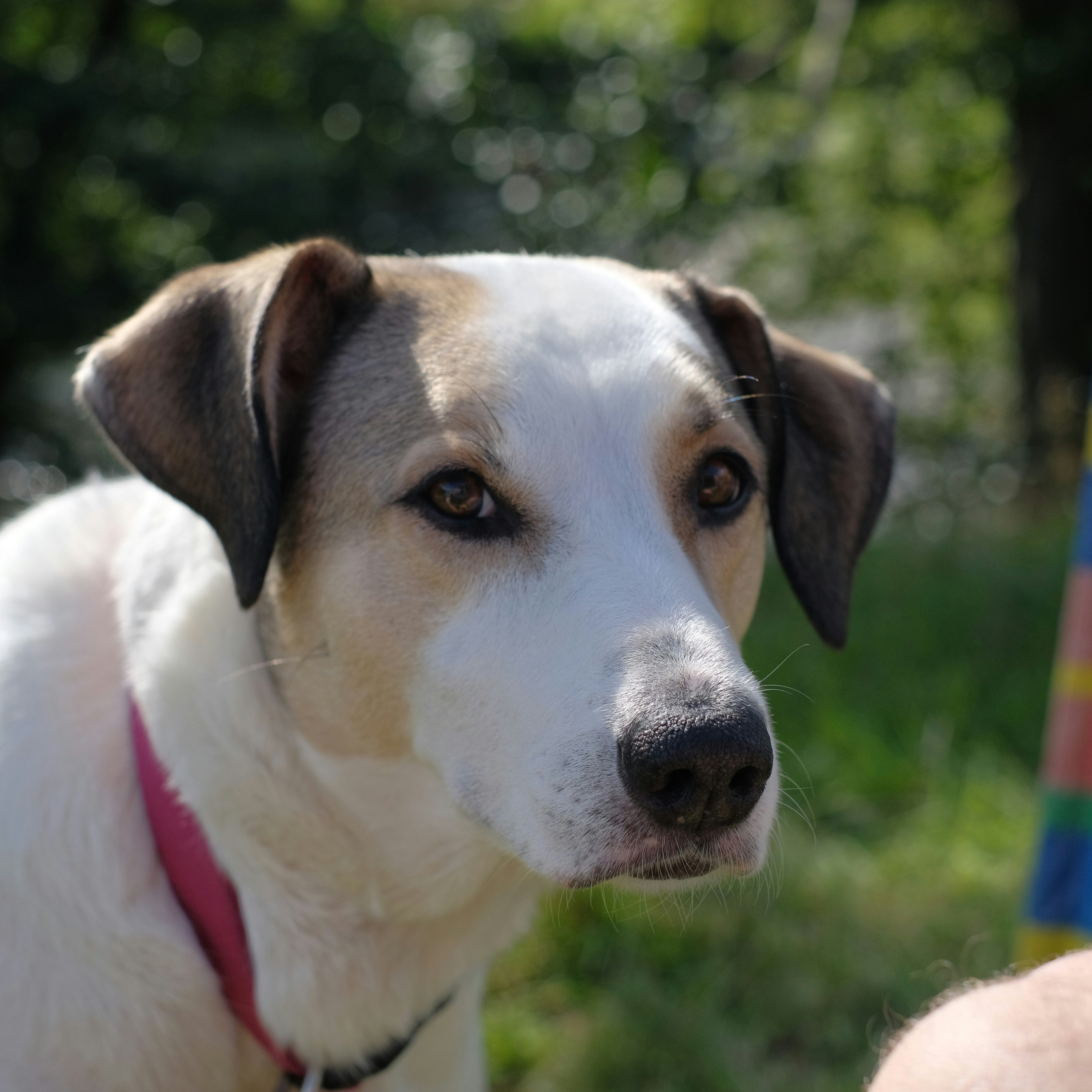 Photo by herrherrmann