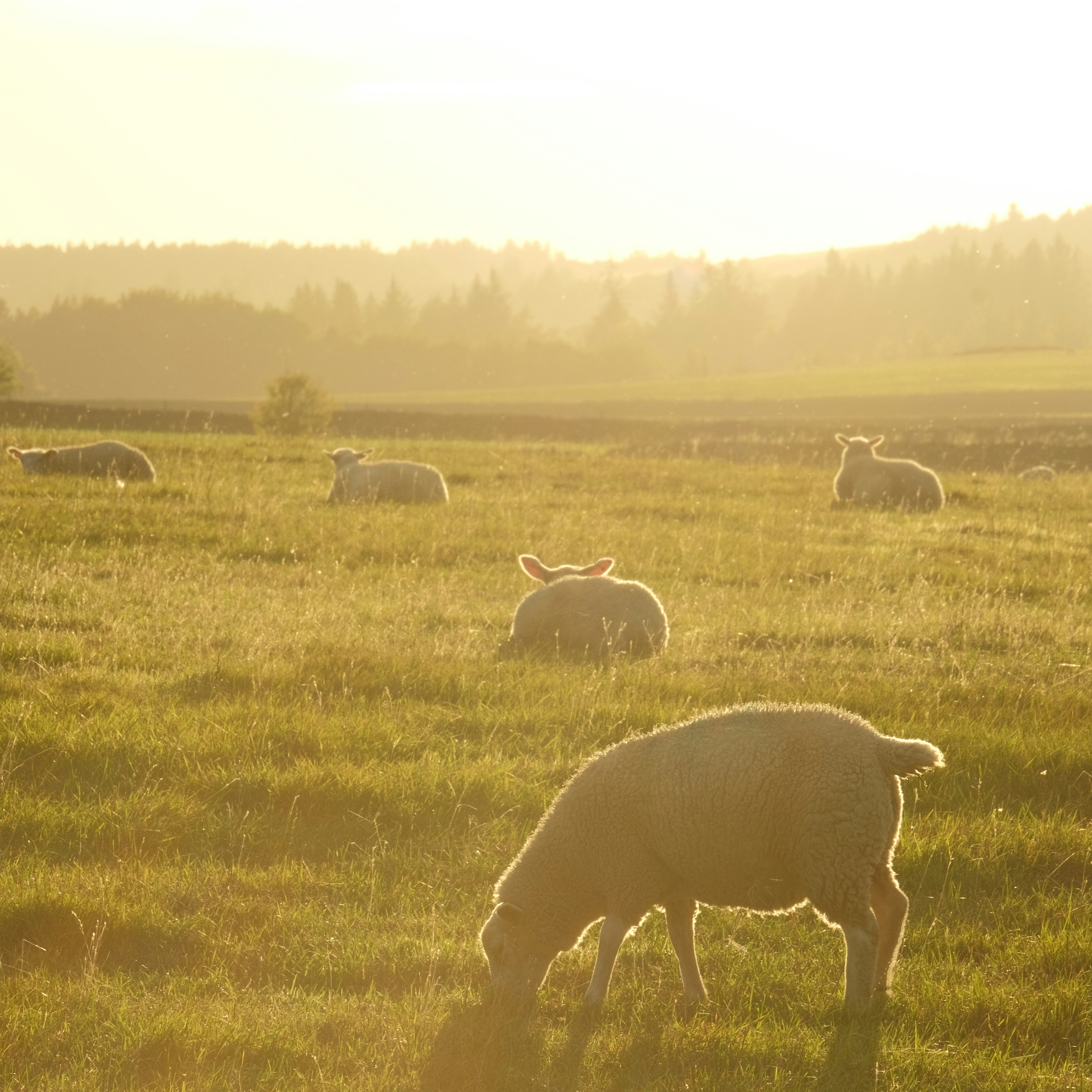 Photo by herrherrmann