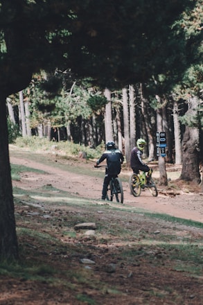 Energetic kids riding bikes through a sunlit forest trail, wearing vibrant safety gear.